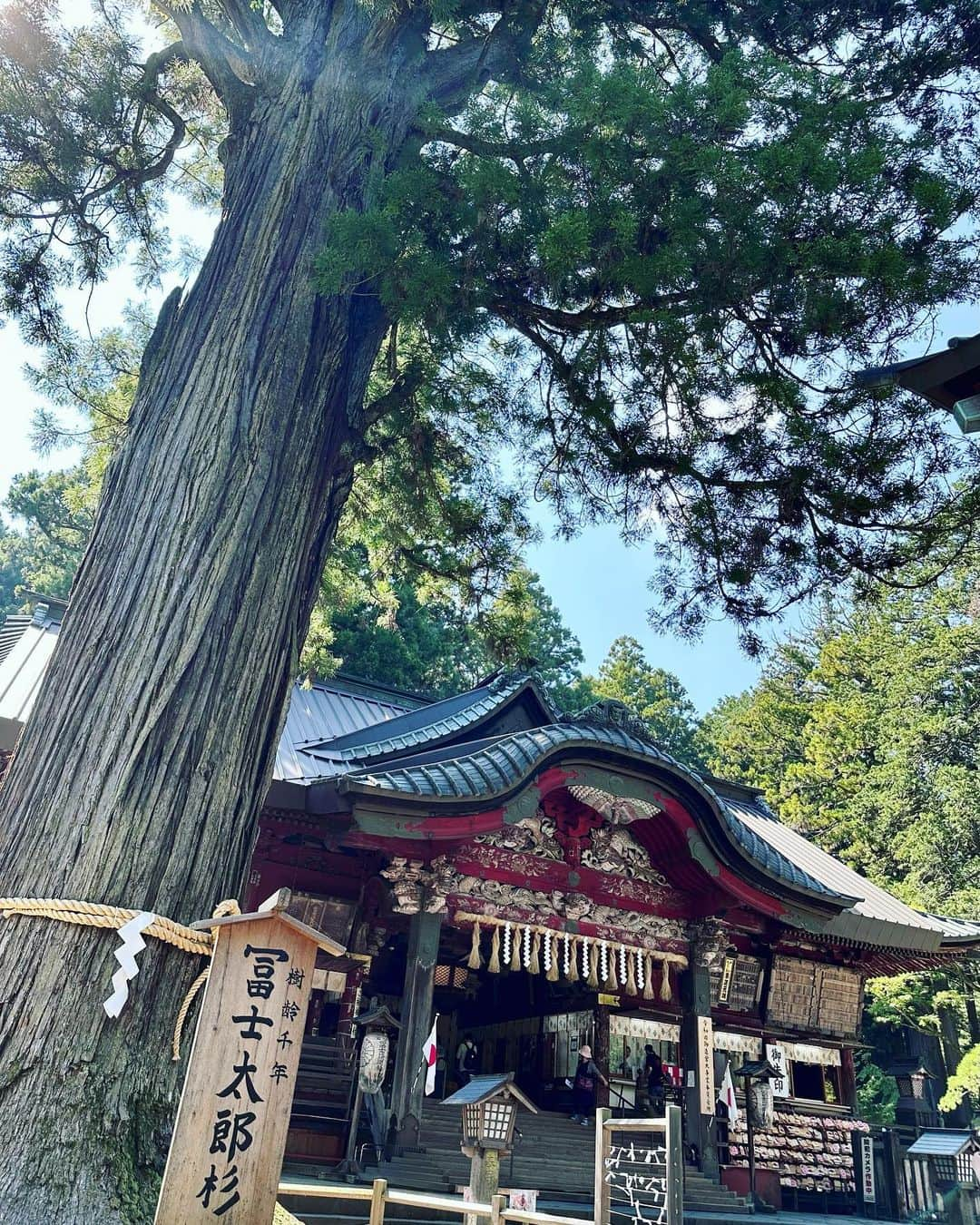 田中千絵さんのインスタグラム写真 - (田中千絵Instagram)「🗼東京生活🗼  パワーが欲しくなったら必ずここへ！  𓀀北口本宮冨士浅間神社⛩️私のパワースポットです。ここの神社に来ると気が晴れるようで、大好きな場所です  𓀀日本の神様が太陽や山や岩など、自然と関係している由来が好きです  𓀀秋になると真っ赤に燃え上がるような紅葉色になるんでしょうね🍁  𓀀いつか私も富士山を登りたいです。そして五合目から登るのではなく、この登山口から⋯！  𓀀こちらの浅間神社に来るたびにいただいてる御朱印です。今回で5体目  𓀀富士山が世界遺産に認定された時は、日本人としてとても嬉しかったことを今でも覚えています  𓀀浅間神社へお参りに行くといただく山梨グルメ・ほうとう🥢  𓀀暑い日でしたが、汗かきながらもおいしくいただきました！   𓀀久しぶりに見た雪のない富士山！行く度に違う表情で迎えてくれる富士山は、本当に魅力的な山です  また、パワーチャージに来まーす🗻✨ . Do you believe power spot? . 如果想充電，我必須來這裡！  𓀀北口本宮冨士浅間神社⛩️這裡是我的能量場。每次來到這裡就可以吸收好能量，非常喜歡的地方  𓀀日本的神明與太陽、山、岩石等大自然有關係，很喜歡這個由來  𓀀等到秋天的時候，這裡的紅葉會變得如火一樣的顏色吧🍁  𓀀我將來也想爬富士山。而且不要從五合目出發而是從這個登山口攻頂⋯！  𓀀每次來這間神社時都會收集的御朱印。這次是第五體  𓀀富士山被認定世界遺產時的感動到現在還印象很深刻。身為日本人真的是件非常開心的事  𓀀每次來參拜淺間神社時都會去吃的山梨縣美食· 餺飥麵(ほうとう)🥢  𓀀雖然還是熱天，但邊流汗邊完食！  𓀀很久沒看到沒有積雪的富士山！每次去看富士山都會有不同的樣貌給我們看，真的是坐很有魅力的山  富士山，下次再見囉～🗻✨ 祝大家中秋節快樂🌾🌾🌾 . . . #日本 #japan #山梨県 #山梨縣 #yamanashi  #北口本宮冨士浅間神社 #神社 #shrine  #パワースポット #能量場 #powerspot  #台北と東京の生活  #中国語」9月29日 10時14分 - chietanaka817