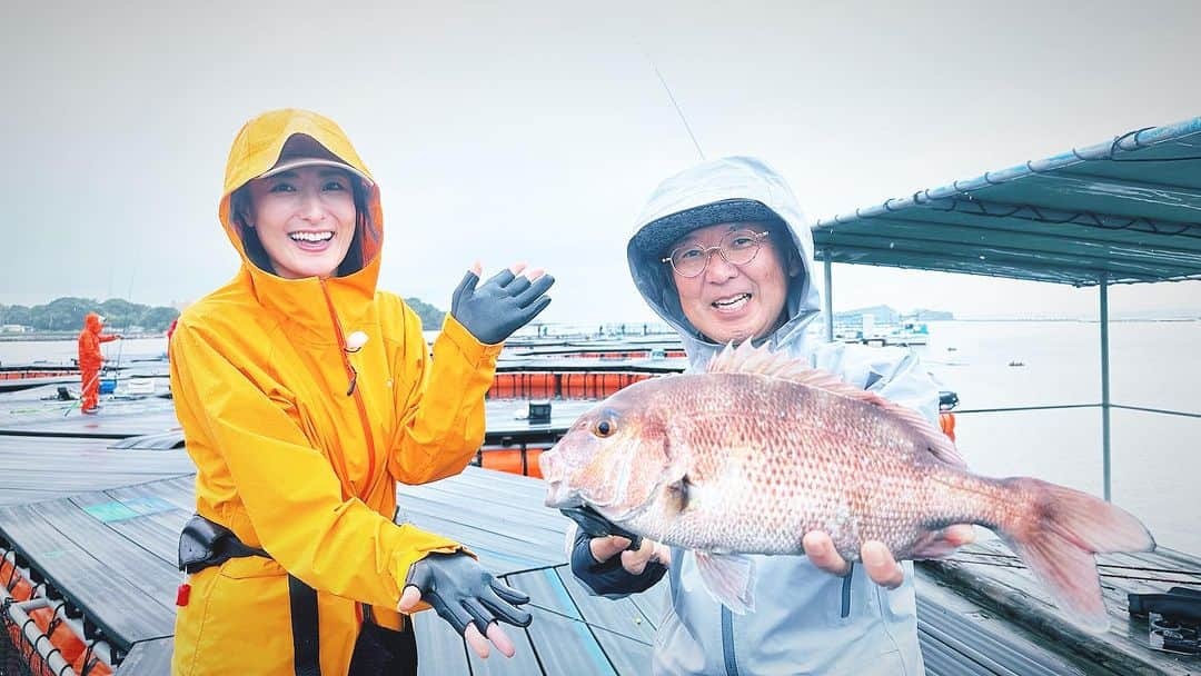 高橋麻美のインスタグラム：「． ． 釣りビジョン『海釣りギャラリー』 いよいよ明日初回放送📺  私って持ってる…⁉︎ってなった神回w ぜひ見て欲しい😍 感想お待ちしてまーす！😆  #釣りビジョン#海釣りギャラリー#釣り堀#和歌山 #カタタの釣り堀#釣り#🎣#fishing#タイ#真鯛#シマアジ #青物#大物#大物釣り#カンパチ#ブリ#釣りガール #釣り女子#北条公哉#南紀白浜」