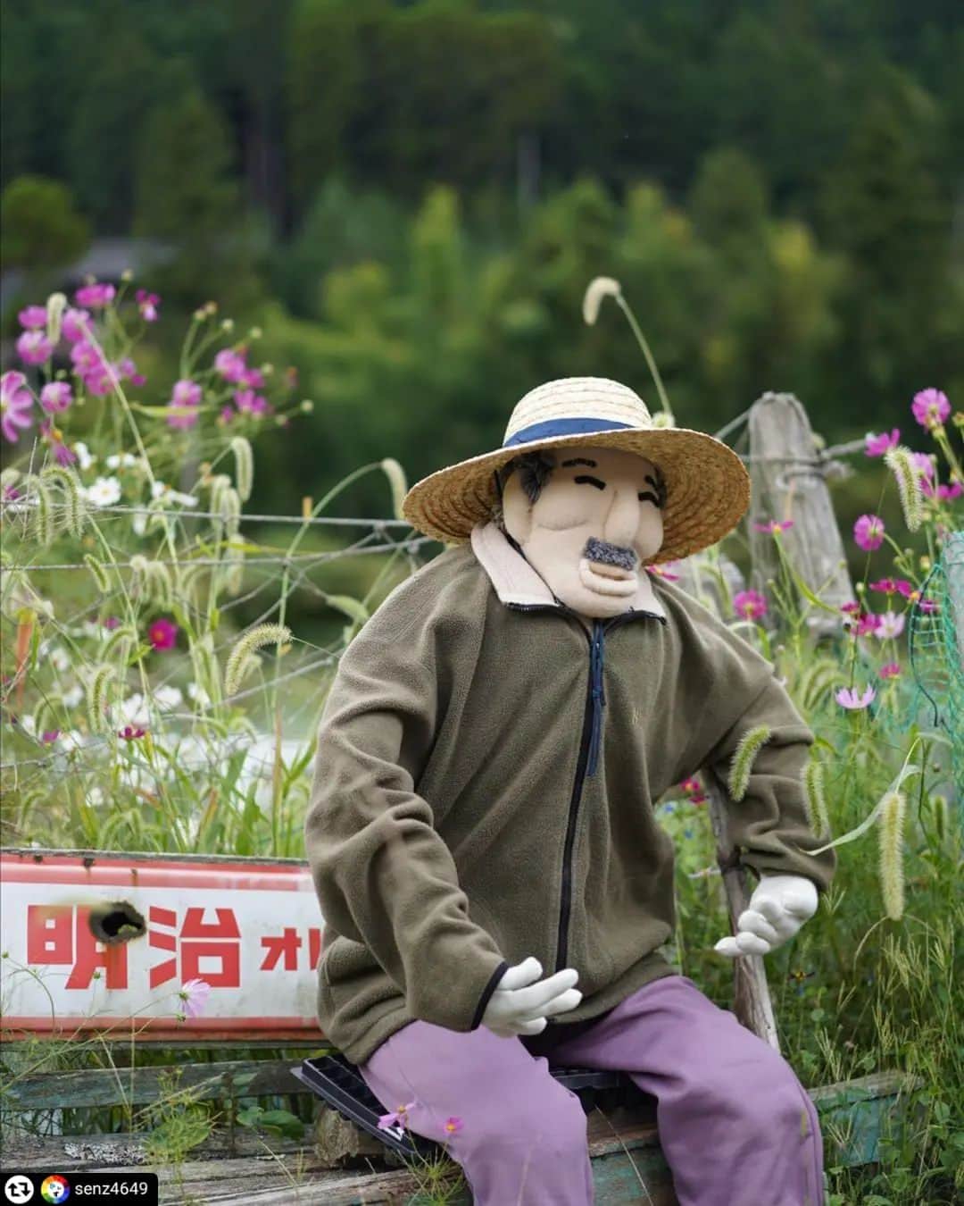 兵庫県さんのインスタグラム写真 - (兵庫県Instagram)「兵庫県公式インスタグラム『love_hyogo』です。  love_hyogoでは皆さんが #lovehyogo のハッシュタグをつけて投稿していただいた写真を紹介させていただきます。  本日のピックアップは @senz4649 さんのお写真です👑 ハッシュタグをつけての投稿ありがとうございます🙏🏻  こちらは、姫路市の奥播磨かかしの里のお写真です📷✨  姫路市の最北部、安富町関地区の集落一帯に村おこしとして製作された約130体の「ふるさとかかし」がいるそうです😄  時が止まったかのような日本の原風景が残る山里の関地区はふるさとに帰ってきた感じがしますね。 思わず声をかけそうになるほど、住民のように集落に溶け込んでいるかかし達です。 農作業をしているかかし、休憩をしているかかし、色々なかかしを見るだけで心が癒やされました😊  兵庫にまつわる投稿は #lovehyogo のハッシュタグをお願いします👈  This is "love_hyogo", the official Instagram of Hyogo Prefecture. We will introduce photos posted by you with the hashtag #lovehyogo on love_hyogo.  Today's pick is a photo by @senz4649 Thank you for posting with the hashtag!  Please use the hashtag #lovehyogo for Hyogo related posts!    #兵庫県#兵庫#hyogo #lovehyogo#love_hyogo #japan #photooftheday#followme #instagood #photography #姫路市#himeji #安富町関地区 #奥播磨かかしの里 #日本の原風景 #兵庫テロワール旅 #お出かけスポット #フォトジェニック #自慢したい兵庫の景色」9月29日 10時40分 - love_hyogo