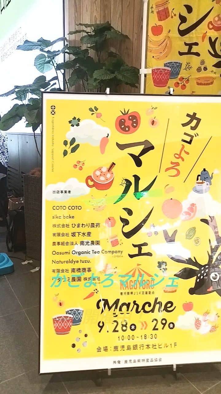 サラ忍マンのインスタグラム