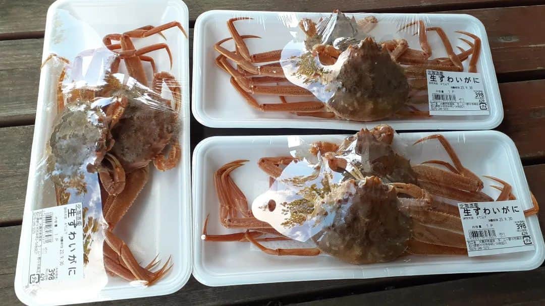 ハンディやしきさんのインスタグラム写真 - (ハンディやしきInstagram)「カニ🦀かに🦀蟹ぃ～🦀  7月～今日までで#香箱がに 18杯食べてるなぁ～(笑) だってこの値段で生だし、旨いんですもの🦀一杯200円！ ありがたい🎵  #かに #ズワイガニ#香箱蟹 #カニ#旨い #安い #スーパー大好き #スーパー巡り#スーパー巡りが趣味 #いただきます」9月29日 11時39分 - handyyashiki