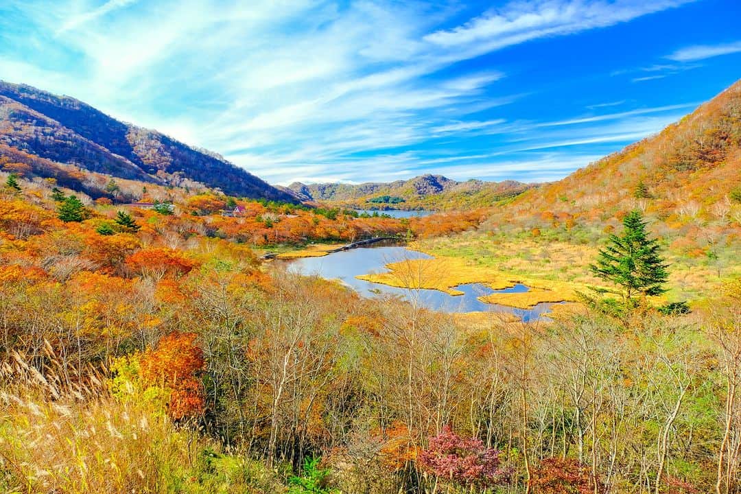 旅行比較サイト・トラベルコ 理想の旅を、いちばん安く。さんのインスタグラム写真 - (旅行比較サイト・トラベルコ 理想の旅を、いちばん安く。Instagram)「#覚満淵 / 群馬  赤城山にある湿生植物と高山植物の宝庫「覚満淵（かくまんぶち）」。  四季折々の自然が楽しめますが、秋にはオレンジや黄色に染まる草紅葉が見られます🍁  「小尾瀬」とも呼ばれており、一周できる道が整備されているので、ぜひ散策を楽しんでみて🚶‍♀️✨  ━━━━━━━━━━━ 📍 #覚満淵 （群馬県前橋市） ━━━━━━━━━━━  ＝＝＝＝＝＝＝＝＝＝＝＝＝＝＝＝＝ ＼もみじ狩りに行こう～エリア別の見頃・ライトアップ情報～／ 【2023年】全国の紅葉名所50選！  記事は以下URLまたはストーリーズからチェック！ https://www.tour.ne.jp/matome/articles/kouyou/ ＝＝＝＝＝＝＝＝＝＝＝＝＝＝＝＝＝＝  ********** あなたが旅先で出合った素敵な風景に #トラベルコ または #travelko をつけて投稿してみてください📷 こちらのアカウントで紹介させていただくかも！  投稿を見て「行きたい！」と思ったら保存でクリップ。 フォロー＆いいねもお願いします🌟  ********** 国内海外1500以上の旅行サイトをまとめて比較！ 旅行の最安値を探すなら「トラベルコ」  プロフィール欄のURLから早速検索🔍 @travelko_official  #小尾瀬 #赤城山 #前橋 #前橋市 #maebashi #群馬 #群馬県 #群馬旅行 #群馬観光 #国内旅行 #日本の絶景 #japantrip #japantravel #絶景 #フォトジェニック #ファインダー越しの私の世界 #誰かに見せたい景色 #旅行好きな人と繋がりたい #写真好きな人と繋がりたい #女子旅 #一人旅 #旅行好き #旅 #旅行 #観光 #trip #travelko #トラベルコ」9月29日 12時00分 - travelko_official