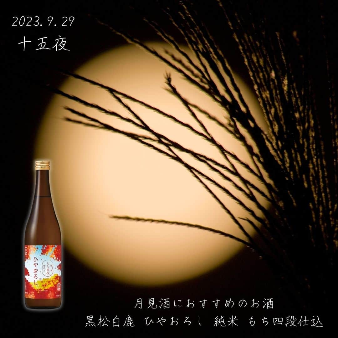 辰馬本家酒造株式会社(白鹿) のインスタグラム：「9月29日は「#十五夜 🌕」 「#中秋の名月 」とも言われています。  夏が過ぎ、涼しくなり始めたこの時期に、 満月を見て楽しむのは、日本の秋の風物詩ですね。  今年の十五夜はちょうど満月にあたるため、 綺麗な月が楽しめる夜となりそうです🌕✨  2017年には、中秋の名月の日が「#月見酒の日 」 として制定されました。 「現代を生きる日本人が改めてこの粋な文化に目を向けて楽しむきっかけになれば」という想いが込められているそうです。  「月見酒」として美しい月を愛でながら 味わっていただきたいのは、秋の限定酒 「黒松白鹿 ひやおろし 純米 もち四段仕込」です🍶  弊社伝統の「もち四段仕込」で醸された、甘みを帯びた深い旨みを持つ濃醇な純米酒を、火入れ後ひと夏熟成させることで香味の整ったまろやかな味わいに仕上げ、常温（ひや）のまま瓶詰めしました。  しっかりした味付けの秋の味覚に合います😋  商品は当社オフィシャルアカウント @hakushika_official のプロフィール欄URL （白鹿オンラインショップ）よりご購入いただけます。  数量限定、無くなり次第終了となりますので、 お早めにお買い求めくださいね🙏  今年は月見酒で、ゆったりと月の美しさと、 季節の移ろいを楽しんでみませんか😊  #秋の限定酒 #ひやおろし #黒松白鹿ひやおろし純米もち四段仕込 #もち四段仕込 #もち四段仕込み #秋晴れ #秋上がり #おいしいもの #白鹿 #黒松白鹿 #辰馬本家酒造 #日本酒 #西宮 #灘五郷 #hakushika #kuromatsuhakushika #sake #nihonshu #nishinomiya #nadagogo #hyogo #japan #日本酒好き #日本酒好きな人と繋がりたい #ポン酒タグラム」