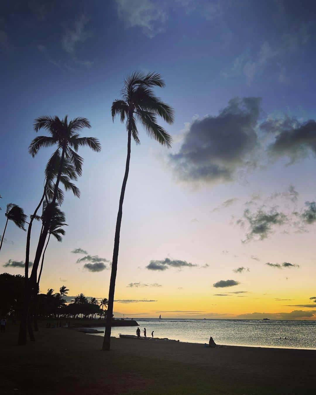 Instagenic Hawaiiのインスタグラム：「. Aloha,  同じ場所でも時間によって違う色を見せてくれるハワイ。  夕暮れ時のビーチは、空のグラデーションが毎日違う色で毎日来ても飽きません🌅  #ハワイ #アラモアナビーチ #オアフ #サンセット #グラデーション #ヤシの木 #ハワイ旅行 #ハワイライフ #ハワイ情報 #ビーチ #ハワイ観光 #写真」