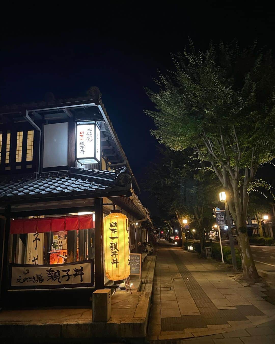 新井恵理那さんのインスタグラム写真 - (新井恵理那Instagram)「YouTubeで話していた滋賀&京都旅行〜☆ひこにゃんパネル、リアリティーありますよね(*≧∀≦*)笑  はじめて登った彦根城でしたが、こ、こんなにハードなお城だったとは!と驚きました(・∀・) 天守閣を吹き抜ける風は心地よかったですよ☆  宿泊は城下町の風情を堪能できる宿に…♪ 屋根裏部屋に泊まるのはワクワクしました(^O^)  近くで親子丼をいただき、いい夜でした♪ フワフワかき氷、絶品でしたーーーー(〃ω〃)  #滋賀 #彦根城 #ひこにゃん  #本町宿 #ほっこりや #源三郎  #新井恵理那 #centforce」9月29日 12時37分 - elina_arai