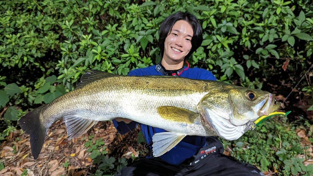 外山将平のインスタグラム：「昨晩は蒸し暑い感じでしたね。　　　　　 中潮の上げ潮、深夜釣行で僕の下へも秋らしい元気な個体のシーバスが🐟　　　　　　　　　　　　　　 プラグで反応なかったので､最後のフォローでジョルティミニ8g。安定でした🙇‍♂　　　　　　　　　　　　　　　　　　　 　　　　　　　　　　　　　　 【TACKLEDATA】　　　　　　　　　　　 ROD： BALBAL99 Jerking Edition (BlueBlue) REEL：18EXIST  LT4000C LINE：シーバスPE パワーゲーム1号(東レ) LEADER：ショックリーダー スムーズロックプラス4号18lb(東レ)　　　　　　　　　　　　　　　　　　　　　　　　　 　　　　　　　　　　 　　　　　　　　　 #BlueBlue #アングラーズマイスター　　　　　　　　　　　　　　　　　　　　　　　　　　　　　　　 #ジョルティ #安定のジョルティ　　　　　　　　　　　　　　　　　　　　　　　　　　　　　　 #ブルーブルー　　　　　　　　　　　　　　　　　 #钓鱼 #每日穿搭 #시바스 #농어　　　　　　　　　 　　　　　　　　　　　　　　　　　　　 　　　　　　　　　　　　　　　　　　　　　　　　　　　　　　　　　　　　　　　　　　　  ◆釣りにかかわらず､出たゴミは持ち帰りましょう！ 一人一人の意識で自然は守れます。 釣り場､自然を大切に🐟　　　　　　　　　　　　　　　　  ◆キャスト時は必ず後方確認をして ルアーや針が歩行者､同行者に当たらないようにしましょう。　　　　 　　　　　　　　　　　　　　　　　　　　　　　　　　　　　　 ◆釣り際はライフジャケット着用をお願い致します。※釣り物によって異なります。　　　　　　　 命を守りましょう！　　　　　　　　　　　　 　　　　　　　　　　　　　　　　　　　　　 ◆YouTube⇩(始めました！チャンネル登録お願いします！) https://youtube.com/channel/UC07x3DbJCNv_gAFvAjaWQMQ　　　　　　　 　　　　　　　　　　　　　　　　　　　　　  ◆アングラーズ↓🎣 外山将平 https://anglers.jp/users/530231 こちらもチェックお願い致します🐟　　　　　　　  ◆Twitter↓ https://mobile.twitter.com/syohei_1108 こちらもフォロー宜しくお願い致します！🙇‍♂　　　　　 　　　　　　　　　　　　　　　　　　　　　　　　　　　　　　　　　　　　　　　　　　　　　　　　　　　　　　　　　　　　　　　　　　 　　　　　　　　　　　　　　　　　　　　　　　　　　　　 #今日の外山 #俳優 #外山将平  #釣り好きな人と繋がりたい #釣りスタグラム #シーバス #東京湾奥 #釣りの成長記録 #釣りで人生を豊かに  #fishing #lure #bass #fish #fishinglife #bigfish  #instafish  #bassfishing #seabass」