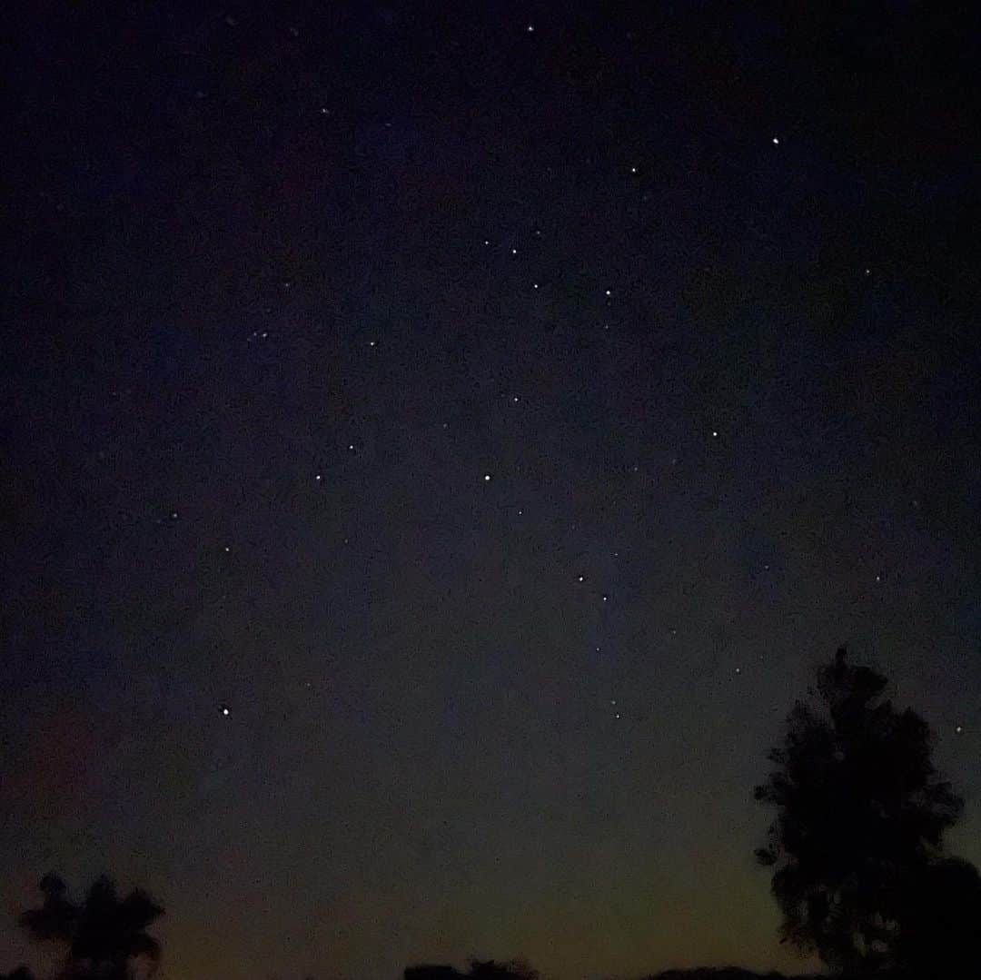 満島ひかりさんのインスタグラム写真 - (満島ひかりInstagram)「❤️ kitta展を見に、弾丸北海道！ 草木染めの美しさ、流れ星、キノコ狩り、キノピの手作りチップス、最強カボチャスープ、ジープの荷台。 初恋ナポリタンでドラマごっこもしました... 笑 （失恋ナポリタンというのもあるらしい）」9月29日 13時41分 - hikarimitsushima