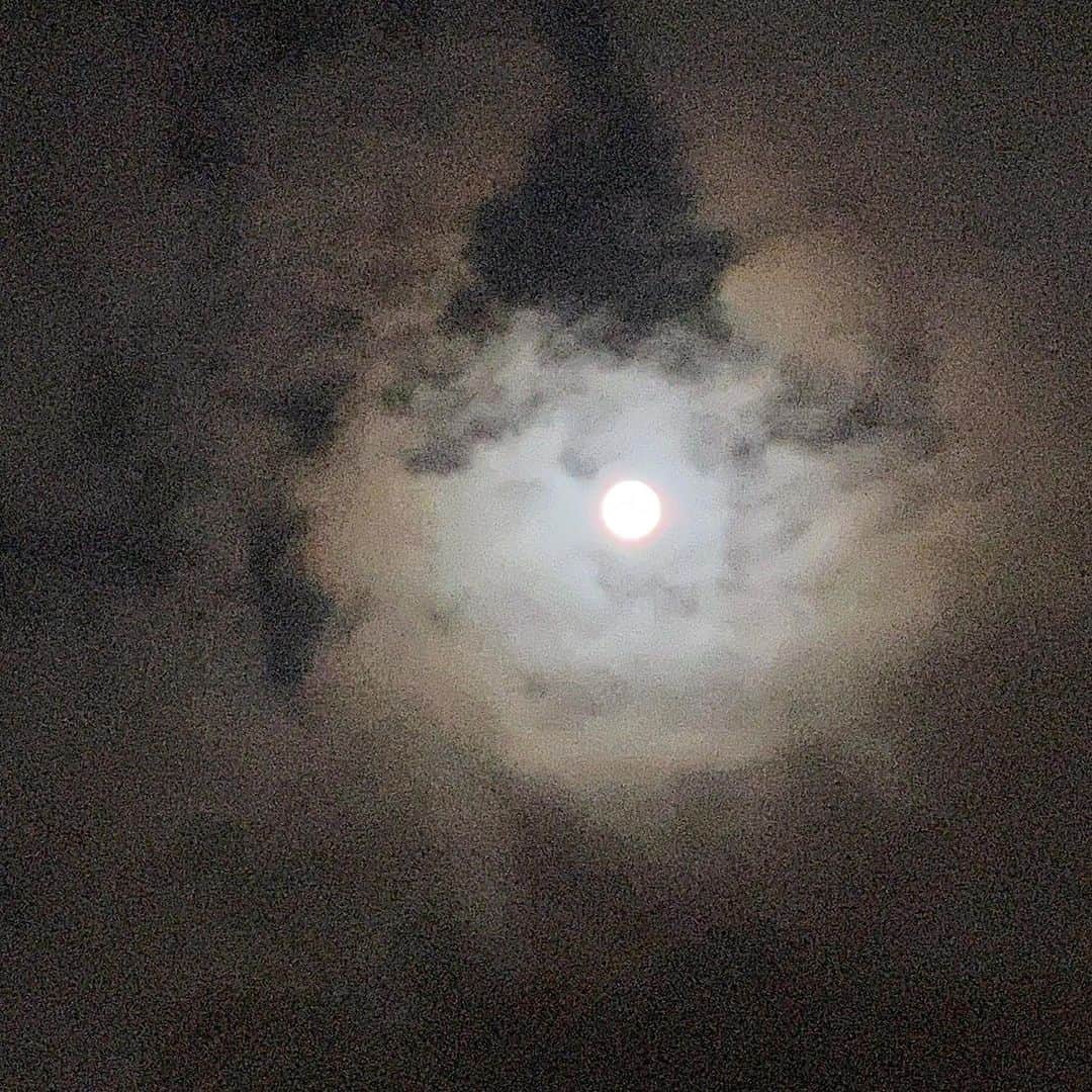 石川さゆりさんのインスタグラム写真 - (石川さゆりInstagram)「今夜の中秋の名月、見ることができましたか？ 満月の中秋の月、今夜の次に見られるのは2030年なんだそうです。  さて、明日で9月も終わり、 なが〜〜い暑い日も　一気に 秋へ向かっていくのでしょうか。  10月から秋のアコースティックライブがスタートします。我が家で10月1日、2日の八ヶ岳音楽堂での音楽作りを4人の音楽仲間と行いました。 アコースティックですから皆んなの楽器と歌がその都度会話をするように変化して行けます。 楽しく真剣に、時に「ああだ、こうだ」と皆んなの音楽アイディアが膨らみます。 どうぞ、皆さんも私たちのアコースティックライブに来て下さいませ✨🎶❤️💨  石川さゆり🎶  ————————— アコースティックライブスケジュール 10月 1（日）.2（月）長野県　八ヶ岳高原音楽堂 7（土）兵庫県　明石市民会館 9（月）岡山県　岡山芸術創造劇場ハレノワ 12（木）神奈川県　相模女子大学グリーンホール  3（金）熊本県　熊本城ホール 4（土）福岡県　北九州芸術劇場 17（金）.18（土）宮城県　トークネットホール仙台 23（木）沖縄県　那覇文化芸術劇場なはーと  12月 16（土）滋賀県　シライシアター野洲 17（日）三重県　伊賀市文化会館 —————————  #石川さゆり #sayuriishikawa #中秋の名月 #アコースティックライブ #acoustic #八ヶ岳 #明石 #岡山 #相模原 #熊本 #北九州 #仙台 #那覇 #野洲 #伊賀 #ちょっと気になる」9月30日 0時34分 - sayuri_ishikawa_official
