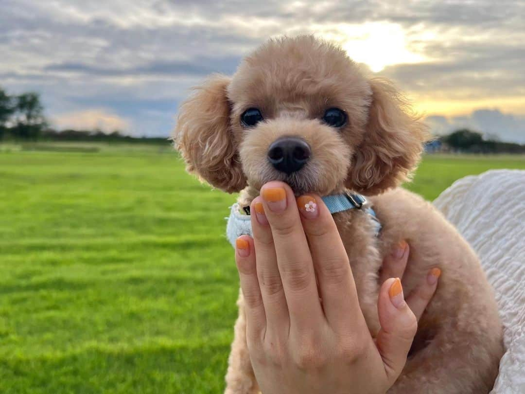 榎本遼香のインスタグラム：「- 🐶🧡」