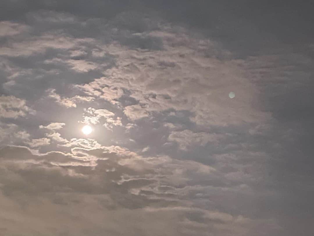 英玲奈さんのインスタグラム写真 - (英玲奈Instagram)「#中秋の名月  あると思ったお団子の材料が無かったので、 ご飯を潰してメープルシロップを混ぜてきな粉をまぶしました。 １歳から一緒に作り始めた、 #お月見団子 今年は上手になったなぁとしみじみ。 毎年行事ごとを大切にしていると成長を感じやすいからいいね☺️  早めの時間は月が大きく橙色に見えて、娘と2人でお団子食べながら満喫できた🍡  お月見ー！お月見ー！ とはしゃぎながら、 月にはうさぎさんがいるのよね！ かぐや姫が帰るのよね！ と、色んな本から学んだ情報を教えてくれる娘。 昔話を沢山読んでるから、 びっくりぎょうてん！とか、 これは見事じゃ！とか、 普段から使っちゃって驚かされるけど、 本が好きな子に育ってくれて良かった☺️  #ていねいな暮らし #季節を感じる暮らし#からだにいいこと#料理 #からだにやさしいごはん #おうちごはん#家族の健康守りたい#10年後の健康の為に#無添加#無化調#オーガニック#低gi #美腸活#趣味生活#料理家#erenakitchen #娘#daughter#2歳10ヶ月#女の子ママ#girlmom#女の子幼児#girlbaby#親バカ部#毎日が特別#子供のいる生活#ていねいな子育て」9月29日 23時05分 - erena_erenyan