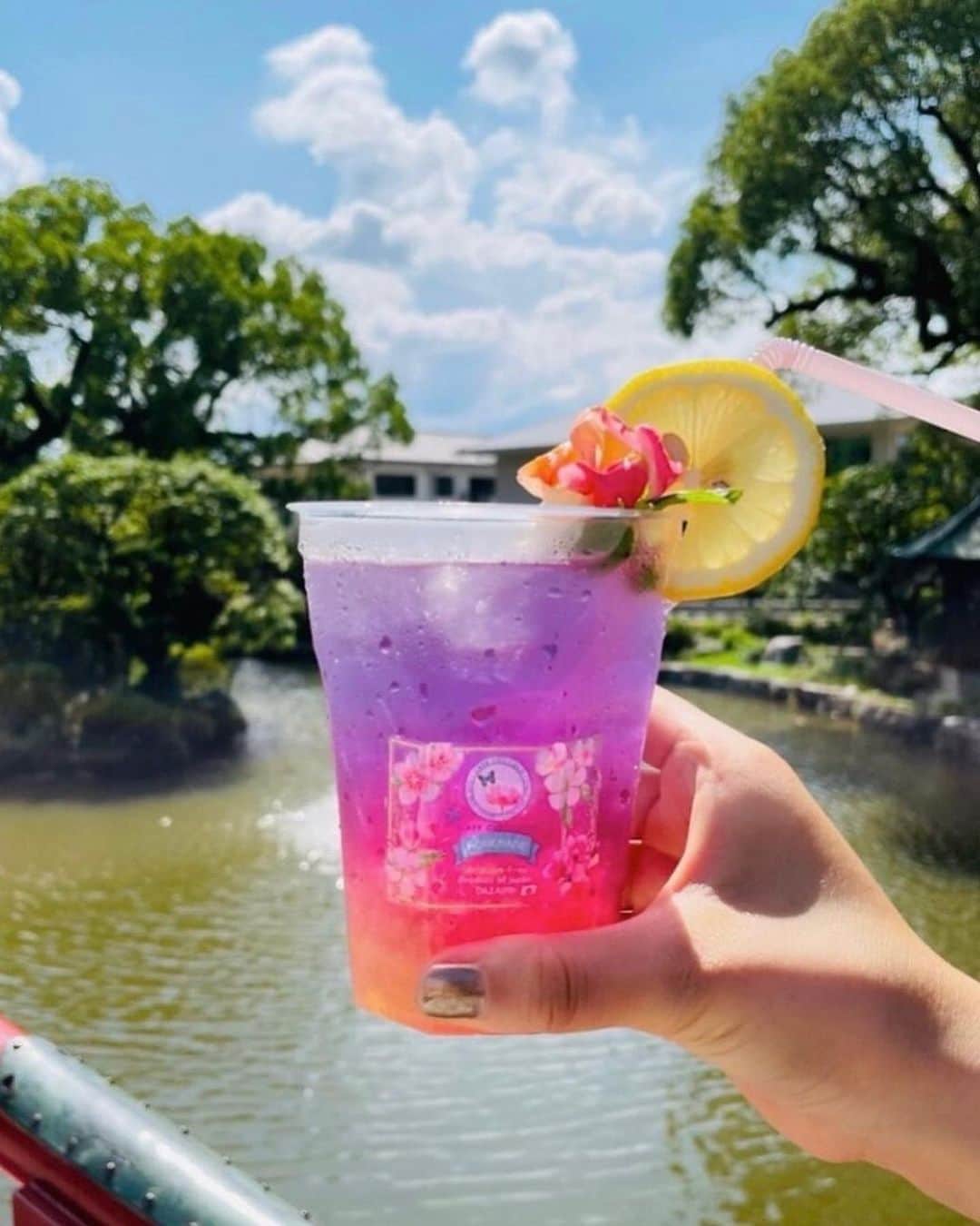 杉春香さんのインスタグラム写真 - (杉春香Instagram)「明日、9月30日10時〜17時  政庁まつりに出店しますので ぜひ来てくださいね❣️😉💕  派手なピンクのテントです💖  🌸💜ゆめいろ太宰府ジンジャーエール💜🌸  　　　ReeCom×CAFECOCCOLO  　　　神社がエールを送ります❣️  @cafecoccolo  @reecom_dazaifu  @dazaifuginger  @dazaifu_channel   https://www.city.dazaifu.lg.jp/soshiki/6/30311.html  ❁.｡.:*:.｡.✽.｡.:*:.｡.❁.｡.:*:.｡.✽.｡.:*:.｡.❁.｡.  #太宰府カフェ#バタフライピー#プレゼント#健康#美容#太宰府ジンジャー#福岡#太宰府#reecom#cafecoccolo#カフェコッコロ#合格祈願#温活#無添加 #生姜#太宰府天満宮#dazaifu #dazaifutenmangu#お中元#お土産#生姜シロップ#ジンジャーエール #japan#fukuoka #かわいい#ゆめいろ#ゆめいろ太宰府ジンジャーエール」9月29日 23時11分 - coco_coccolo