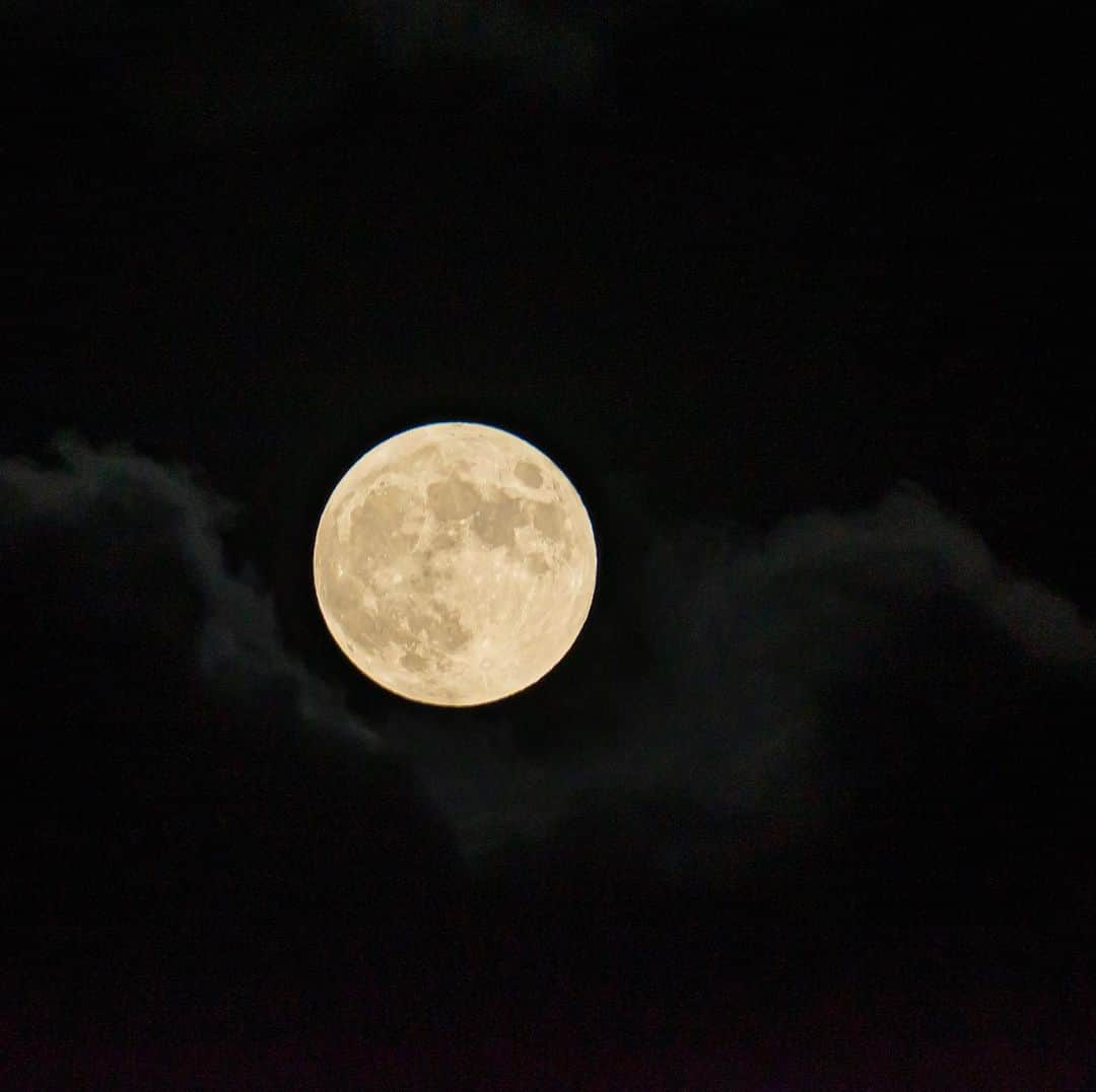 丸山智己のインスタグラム：「実家の田んぼで撮った 中秋の名月  #中秋の名月 #fullmoon  #naganoprefecture  #photography  #fullmoonphotography  #moonphotography」