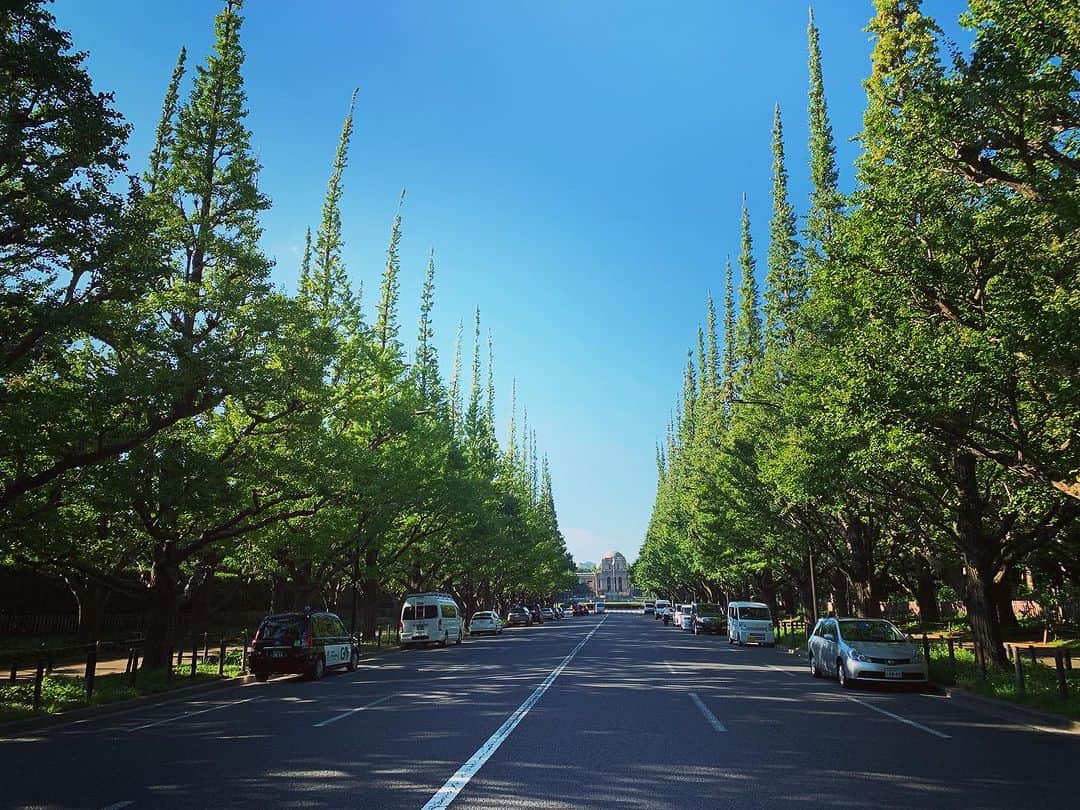 TGMX aka SYUTA-LOW TAGAMIのインスタグラム：「こんなに素敵な道、景観、街、 大切にすべきだよなー🌳🌳」