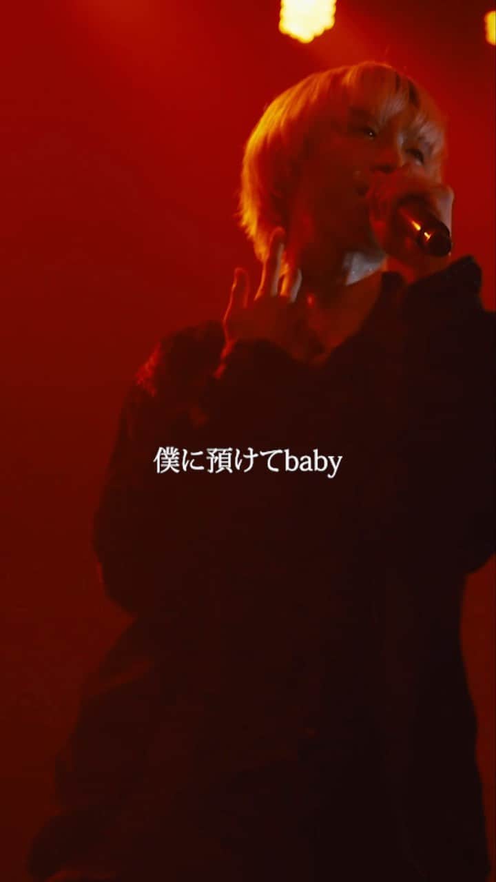 FlowBackのインスタグラム：「FlowBack 「Rose」Lyric video  Full ver はYouTubeへ🌹  12/3 (sun) FlowBack 10th Anniversary Live 「FlowBack」@ KT Zepp Yokohama   オフィシャル先行は10/15 23:59まで✔️  #FlowBack #FB10th_1203 #イケヴァン」