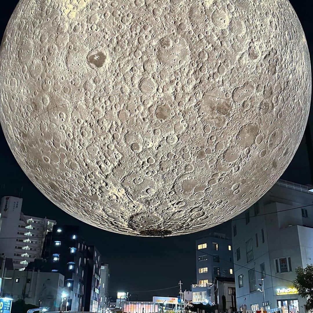 村田沙耶香さんのインスタグラム写真 - (村田沙耶香Instagram)「急に思い立って月と兎を見てきました。」9月29日 23時54分 - sayaka_murata_