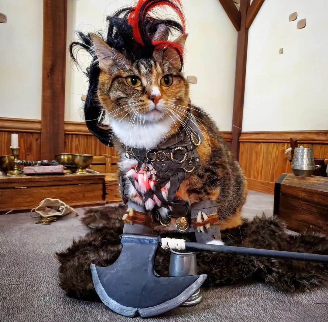 のインスタグラム：「"Av-purr-nus Was Never My Home..." ~ Karlach    #BG3 #BaldursGate3 #Karlach . . . . #dnd #DungeonsandDragons #bg3fanart #bg3cosplay #BaldursGate #baldursgate3fanart #baldursgate3cosplay  #catcosplay #cosplay #cosplayer #cat #catcostume #catsinclothes #petclothes #PetCostume #petarmor #halloween」