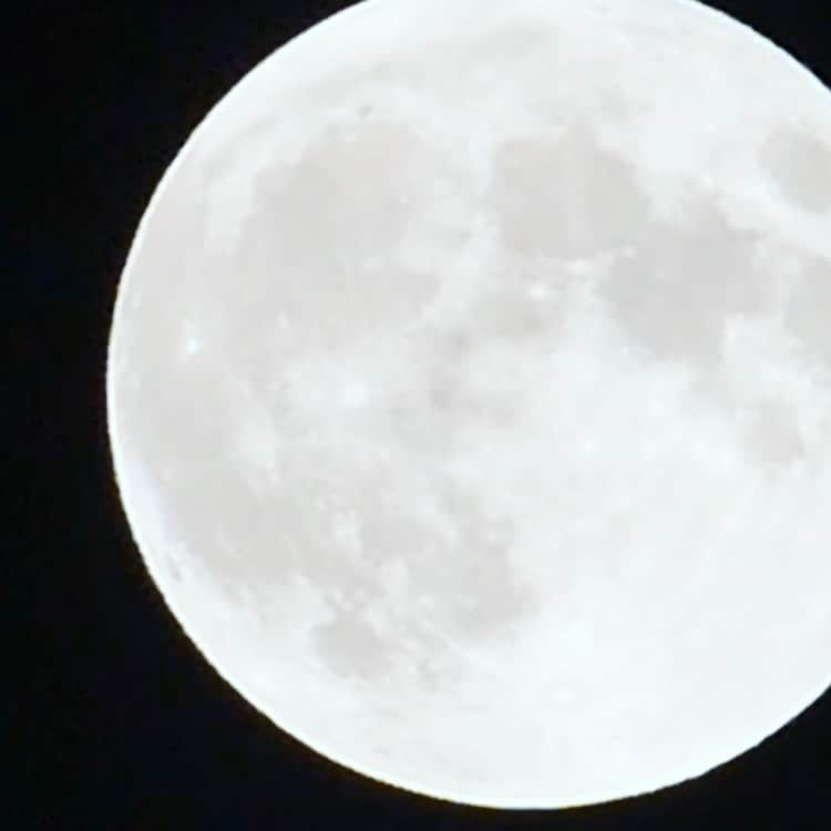 伊地健治さんのインスタグラム写真 - (伊地健治Instagram)「・ ・ 十五夜 中秋の名月🌕  静岡県西部では雲の切れ間が多く、美しい月がよく見えました😋  静岡ならではの「へそもち」を買って、ススキを飾り、お月様にお供えをしました。  無病息災、いつも見守って下さりありがとうございますm(_ _)m  お月様が食べたあとの、ちょっと気の抜けた感じのお餅を食べるのが好きです笑  片見月（かたみづき）にならないように、十三夜の月も見ないとですね！  今年の十三夜は10月27日(金)だそうです🌕  久々に一眼カメラを引っ張り出して、お月様を写しました😋」9月30日 0時04分 - kenji_ichi_satv