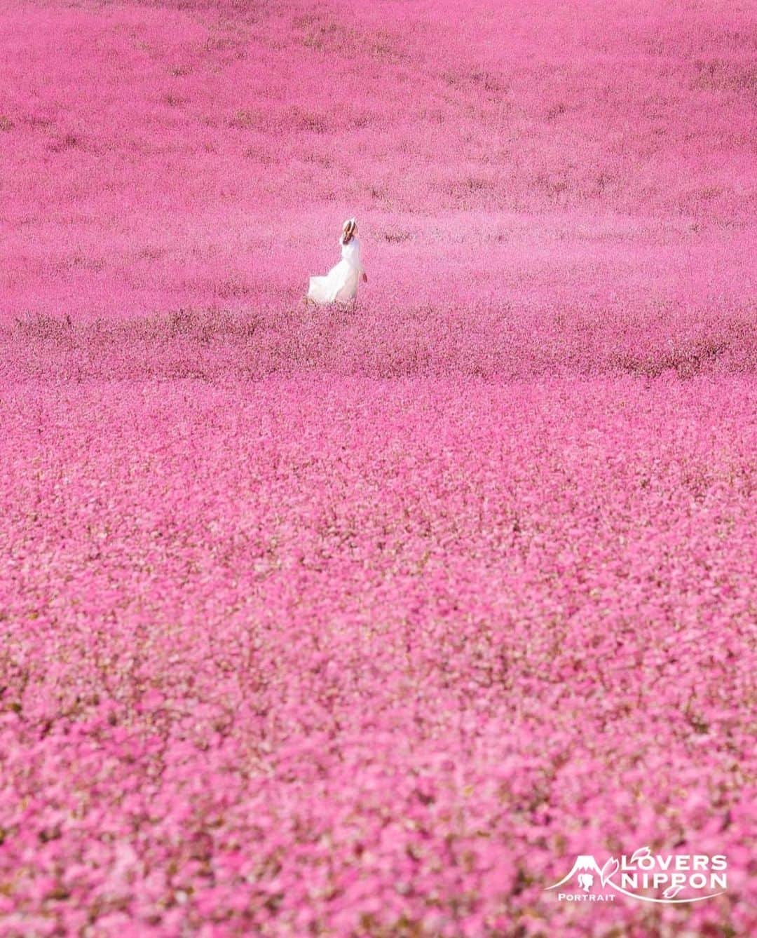 のインスタグラム：「🇯🇵Today's LoversNippon Selection🇯🇵 . Artist｜@yukiii_fleur ,@pcx758 Selected｜@rphafoto . Follow : @lovers_nippon Tag : #lovers_nippon ＿＿＿＿＿＿＿＿＿＿＿＿＿＿＿＿＿＿＿＿ ￣￣￣￣￣￣￣￣￣￣￣￣￣￣￣￣￣￣￣￣ @yukiii_fleur 様おめでとうございます✨👏素敵なお写真にタグ付けしていただきありがとうございます！今後ともLoversNipponを宜しくお願い致します♫✨ ＿＿＿＿＿＿＿＿＿＿＿＿＿＿＿＿＿＿＿＿ ￣￣￣￣￣￣￣￣￣￣￣￣￣￣￣￣￣￣￣￣ #日本 #写真 #ポートレート #beautiful #絶景 #picture #photo #portrait #Japan」