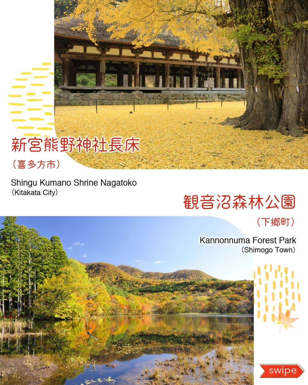福島県さんのインスタグラム写真 - (福島県Instagram)「新宮熊野（しんぐうくまの）神社長床（ながとこ）【喜多方市】 国重要文化財の拝殿「長床」の傍らには、推定樹齢850年以上の大イチョウがたたずみます。例年11月中旬から下旬に見頃を迎え、この時期にはライトアップが行われます。  観音沼森林公園【下郷町】 四季折々の美しさを楽しめる公園で、紅葉の時期にはライトアップを実施します（例年10月中旬から下旬）。  半田山自然公園【桑折町】 11～５月頃にかけては山頂付近から望む半田沼がハート型に見えることから、「ハートレイク」として人気があります。  南湖公園【白河市】 松平定信が身分の差を超えて誰もが憩える場所として1801年に築造した日本最古と言われる公園です。  天神岬温泉 しおかぜ荘【楢葉町】 太平洋を眺めながら楽しめる露天風呂は、寝湯がある岩風呂とつぼ湯が付いたひのき風呂が付いた２種類の露天風呂を含む７種類の温泉があり、心もからだもリフレッシュできます。  いわき湯本温泉【いわき市】 日本で珍しいタイプの硫黄泉で「美人の湯」として地元の方はもちろん県外の方からも愛されています。  紹介した場所は11月30日（木）まで開催の「ふくしまデジタル周遊ラリー」のチェックスポットなので、ぜひ参加をして現地に足を運んでみてください！  Shingu Kumano Shrine Nagatoko [Kitakata City] A large ginkgo tree, reportedly over 850 years old, stands beside the Nagatoko, which is Shingu Kumano Shrine’s worship hall and is a Nationally Important Cultural Asset. The ginkgo is at its best from mid to late November, when it is illuminated in the evenings.  Kannonnuma Forest Park [Shimogo Town] This popular park, which abounds in seasonal beauty throughout the year, is illuminated during the fall foliage season (from mid to late October).   Handayama Natural Park [Koori Town] From November to May, Handanuma Marsh, viewed from the nearby mountain top, looks heart-shaped, earning it the nickname Heart Lake.   Nanko Park [Shirakawa City] Considered to be Japan’s oldest public park, Nanko Park was constructed by Matsudaira Sadanobu in 1801 as a place open to everyone, regardless of social status.   Tenjin Misaki Onsen Shiokazeso [Naraha Town] This spa facility overlooking the Pacific Ocean has seven types of baths  to refresh your body and mind including two open-air baths, namely a large rock bath with a shallow neyu area where bathers can lie down and a Japanese cypress bathtub with two tsuboyu pot baths.  Iwaki Yumoto Onsen [Iwaki City] Iwaki Yumoto Onsen boasts a type of sulfur spring that is rare in Japan , and it is known and loved by locals and people from outside the prefecture alike as a hot spring with skin-beautifying properties.  All the places introduced above are check spots for the Fukushima Digital Tour Rally, which is being held until Thursday, November 30, so please participate in the rally and try to visit as many of these spots as you can!」9月29日 17時00分 - realize_fukushima