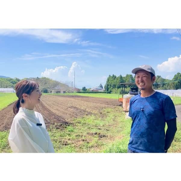 鳥越佳那さんのインスタグラム写真 - (鳥越佳那Instagram)「【サツマイモを愛するみなさんへ🥰YouTube更新しています🍠】 ロングver.は @kana_torigoe プロフィール またはストーリーハイライトからご覧ください🐥💕  〜〜〜〜〜〜〜〜〜〜〜〜 【小鹿農業生産組合】 📍鹿児島県鹿屋市吾平町麓 〜〜〜〜〜〜〜〜〜〜〜〜  『新焼酎シーズンの小鹿酒造に潜入！おいしさの秘密はサツマイモ！？』  小鹿酒造の焼酎を支えているのは 契約農家さんや小鹿農業生産組合の  ＼ サツマイモ コガネセンガン🍠 ／  焼酎会社がサツマイモまでこだわろうと 立ち上げた組合なんだそう👀💡  1日30tものサツマイモを仕込むとのことで 安定した供給は重要ですね🤔💡  小鹿農業生産組合の中馬亮太さんによると ✏️今年は台風が少なかったため被害も少なく 基腐病も今のところ蔓延していないとのこと  去年、おととしより はるかにいい出来だそうです🥰♪  また、畑を取材中に 『芋焼酎の搾りかす』を畑に撒いて 消毒するようすもみられました😳‼︎‼︎  \\芋が循環しているなんて...❣️//  一大産地・鹿屋ならではの光景に 大興奮の芋姉ちゃん(？)なのでした🍠♪  YouTubeは 企画〜編集まで頑張っております...🥹 チャンネル登録を見ていただけたら嬉しいです🥰♡  〜〜〜〜〜〜〜〜〜〜 \\おいものまちかのやの魅力を発信// YouTube『かないも日和』は @kana_torigoe プロフィールから🐥💕 チャンネル登録＆高評価よろしくお願いします☺️ 〜〜〜〜〜〜〜〜〜〜 . . #鹿児島県 #鹿屋市 #かのや #大隅半島 #visitosumi #農業 #鹿屋グルメ #ふるさと納税 #返礼品 #本格芋焼酎 #薩摩焼酎 #鹿児島焼酎  #芋焼酎 #焼酎 #晩酌 #小鹿酒造 #工場見学 #無料  #小鹿 #鹿児島限定 #小鹿の郷　 #さつまいも#コガネセンガン #地域おこし協力隊 #かのやPRレポーター  #さつまいもアナウンサー」9月29日 17時05分 - kana_torigoe