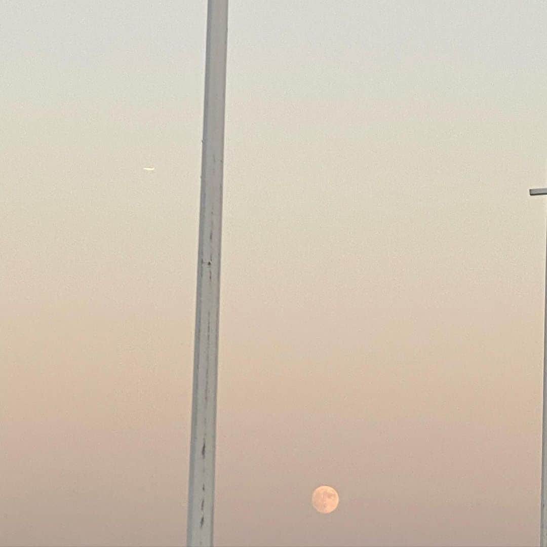 大島璃音さんのインスタグラム写真 - (大島璃音Instagram)「.  今夜は中秋の名月ですね🎑  私は昨晩、堪能してきました🌕 とってもとっても綺麗でした。  皆さまは今夜，ぜひ空を見上げて満月をお楽しみください♪  #中秋の名月 #満月」9月29日 17時11分 - rinon_ohshima