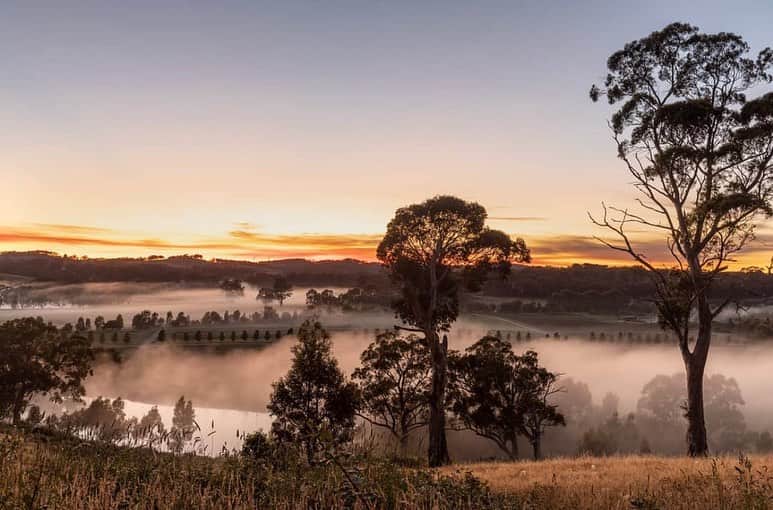 Jurlique Japanのインスタグラム