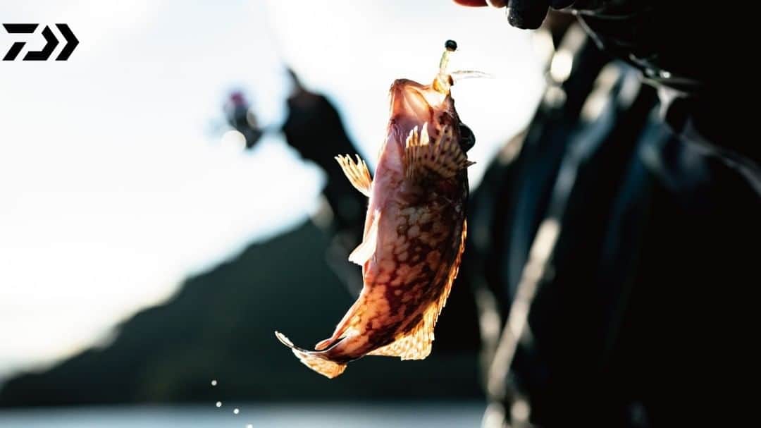 daiwa _japanのインスタグラム：「#DAIWA #ダイワ #釣り #フィッシング  #fishing」
