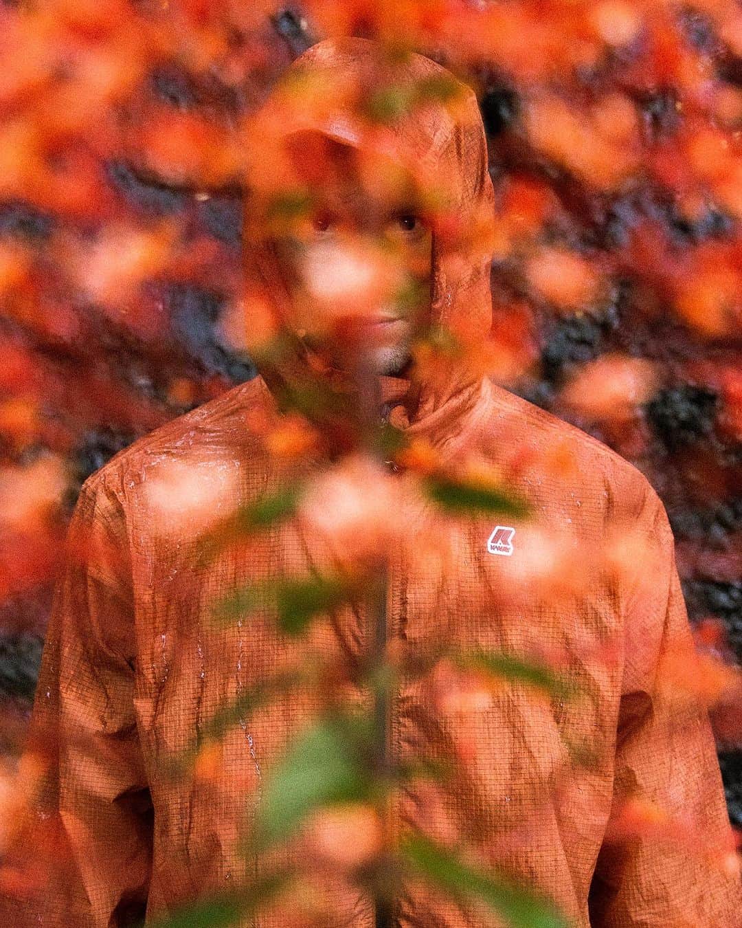 ケイウェイのインスタグラム：「Embarking on a sensory voyage with K-Way's Off the Beaten Tracks. A spectial project in collaboration with @cavalligiacomo and @achillemauri.eu. Let's uncover a tale of adventure, told through the whispers of senses.    Direction and photography: @achillemauri.eu  Starring: @cavalligiacomo  Production: @claudia_decaro  Local video assistant: Ryan Borne and Noé langronier Video Soundtrack: @cem3340cem3340  Graphic Identity, post production: @genera.live    #KWAY」