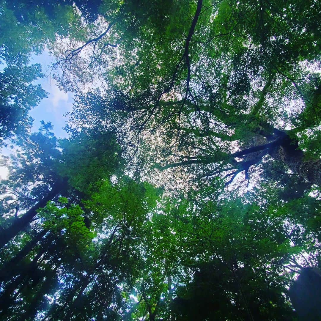 常世晶子さんのインスタグラム写真 - (常世晶子Instagram)「息子とふらっと高尾山へ⛰️リフトに乗って、お団子を食べて(十五夜ですし…)、あれこれ話をしながら2時間半の弾丸登山🚶☀️  お参りをして汗をかいて少しだけスッキリ！たまの息抜きは大切ですね🎵 記念にお決まりの写真まで買っちゃって😆満足ー！！ 付き合ってくれてありがとう♥️♥️  #高尾山 #十五夜 #🌝 #楽しかった！」9月29日 17時41分 - tokoyo_shoko