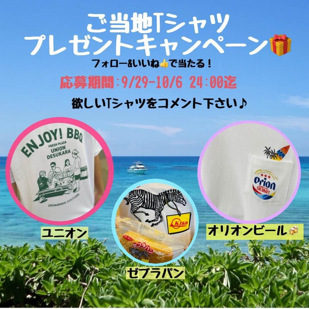 おきなわLikesのインスタグラム：「＼ご当地Tシャツ👕プレゼントキャンペーン🎁／ 前回の投稿でいいね、 コメント頂きありがとうございます😊  今日時点で2,000いいね👍はいかなかったけど🥺 皆さんから沢山のコメントを頂いたので やっちゃいますよ〜☝️ プレゼントキャンペーン🎁🙌  今回プレゼントするTシャツはこちら💁‍♀️  1.ユニオンTシャツ 2.ゼブラパン(パンは付きません笑) 3.オリオンビール ※各1枚  ＼応募方法／ step1:@okinawa_likesのアカウントをフォロ(Instagram,Facebook,Threads,Xどれでも可) step2:この投稿をいいね👍希望のTシャツをコメント📝  ＼当選結果／ 当選され方へ@okinawa_likesのアカウントから DMでご連絡します！サイズもその時に確認します。 ※当選連絡から24時間以内にご返信がない場合は 　当選の権利がなくなりますので、ご注意ください  ＼応募期間／ 2023/10/6 24:00迄  どのTシャツが欲しいか決まりましたか！？ 私は全部可愛くて選べない〜😆 皆さんからのコメントお待ちしてます！ ご当地Tシャツを着て沖縄観光しましょ🫶  ✜ 𖣯 ✜ 𖣯 ✜ 𖣯 ✜ 𖣯 ✜ 𖣯 ✜ 𖣯 ✜ 𖣯 ✜ 𖣯 ✜  沖縄のこと、「ちょっと好き」から「もっと好き」に。  フォローしてね🌺 @okinawa_likes  ✜ 𖣯 ✜ 𖣯 ✜ 𖣯 ✜ 𖣯 ✜ 𖣯 ✜ 𖣯 ✜ 𖣯 ✜ 𖣯 ✜  #沖縄 #okinawa #沖縄旅行 #trip #ご当地Tシャツ #オリオンビール #orionbeer #ユニオン #ユニオンですから #サンエー #ゼブラパン #オキコ #キャンペーン #プレゼントキャンペーン」