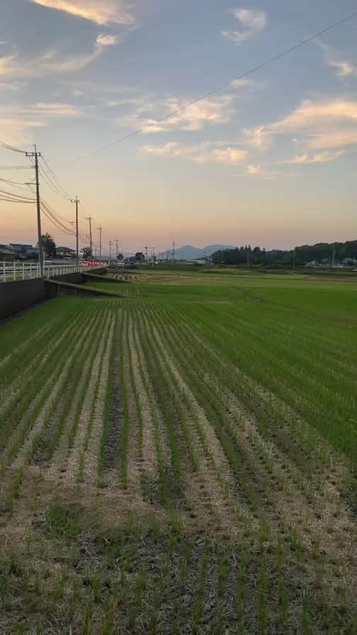 初恋タローのインスタグラム