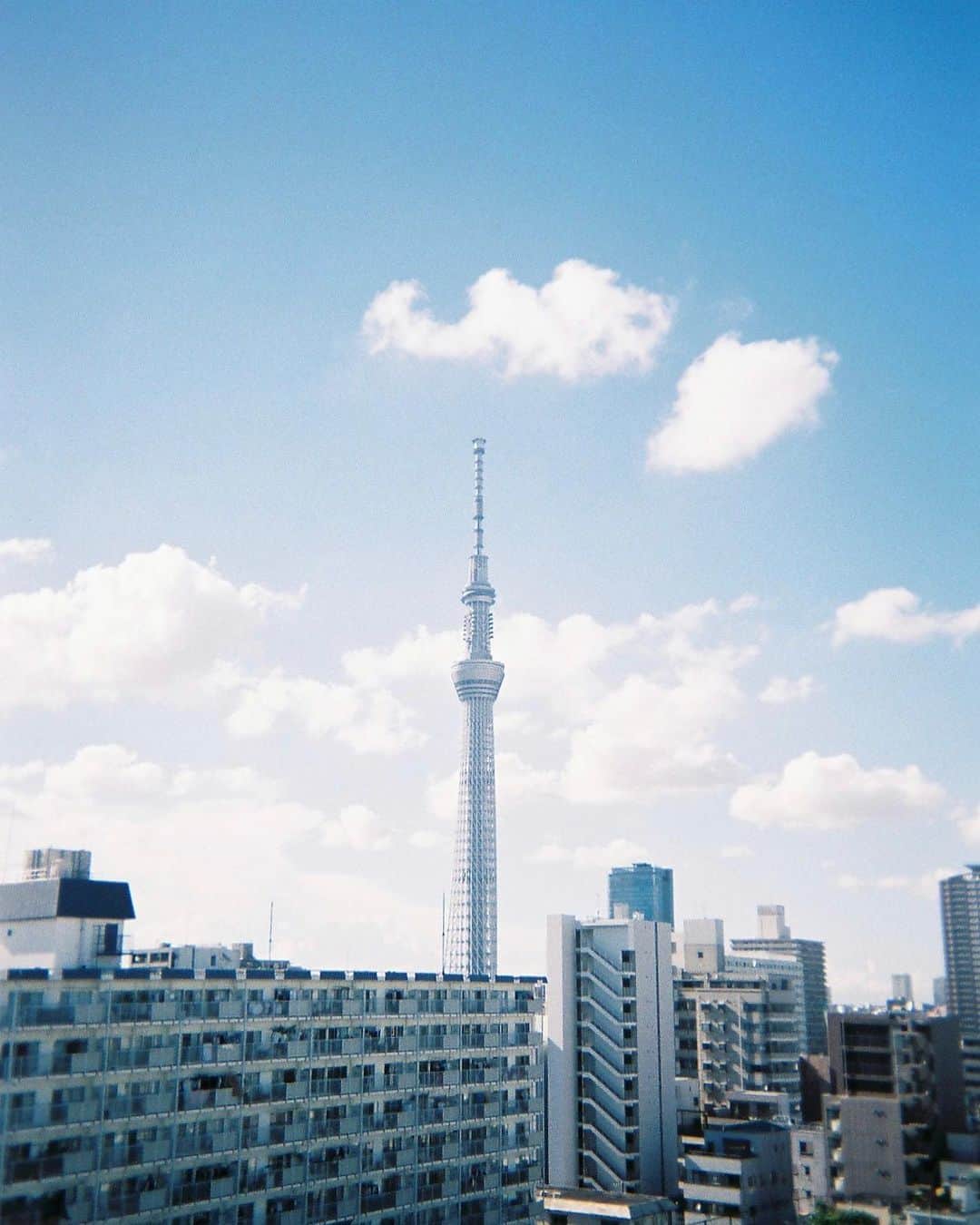 荒眞人のインスタグラム：「One day #あの日の心を映して   撮影のご依頼はDMにて お受けいたします。  ウェディングのご依頼は @arca.wedding   へお願いいたします。  私のオリジナルプリセットは @curbonjp のHP もしくはプロフィールの リンクから ご購入可能です。  ＝＝＝＝＝＝＝  New Lightroom preset release!!  Also, from this time Overseas sales are now possible!  Therefore, living abroad will be available for purchase.  You can buy it from the link in my profile. @arca_0105」