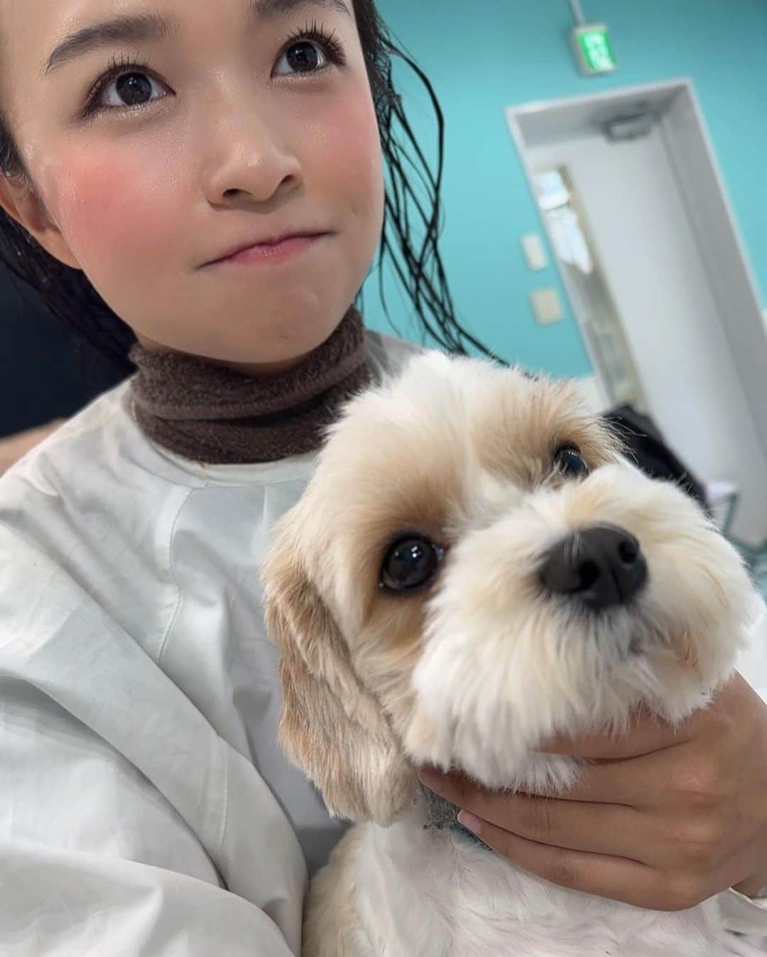 百川晴香さんのインスタグラム写真 - (百川晴香Instagram)「今日は渋谷Mayに髪の毛カットに行ってきました👏💕 いつもお世話になっ