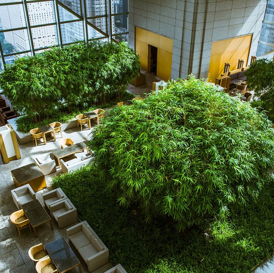 Park Hyatt Tokyo / パーク ハイアット東京のインスタグラム