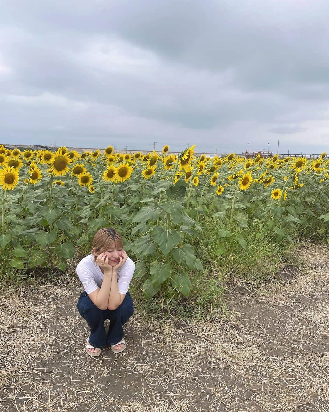 吉田華恋さんのインスタグラム写真 - (吉田華恋Instagram)「#柳川ひまわり園」9月29日 18時30分 - karen_yoshida_8