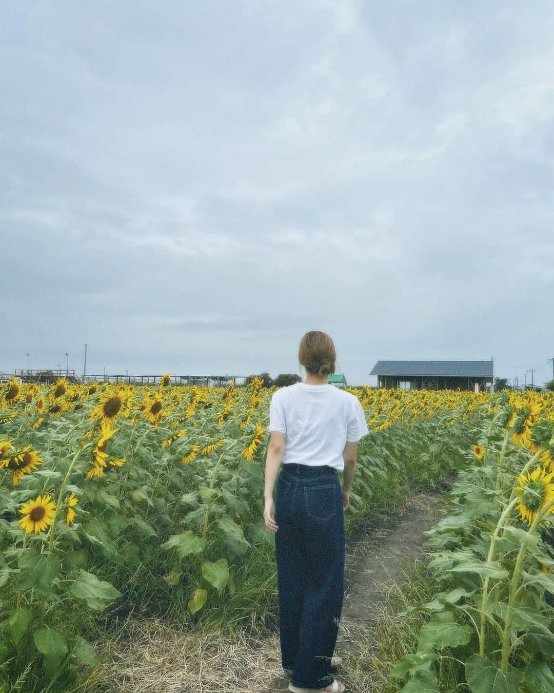 吉田華恋さんのインスタグラム写真 - (吉田華恋Instagram)「#柳川ひまわり園」9月29日 18時30分 - karen_yoshida_8