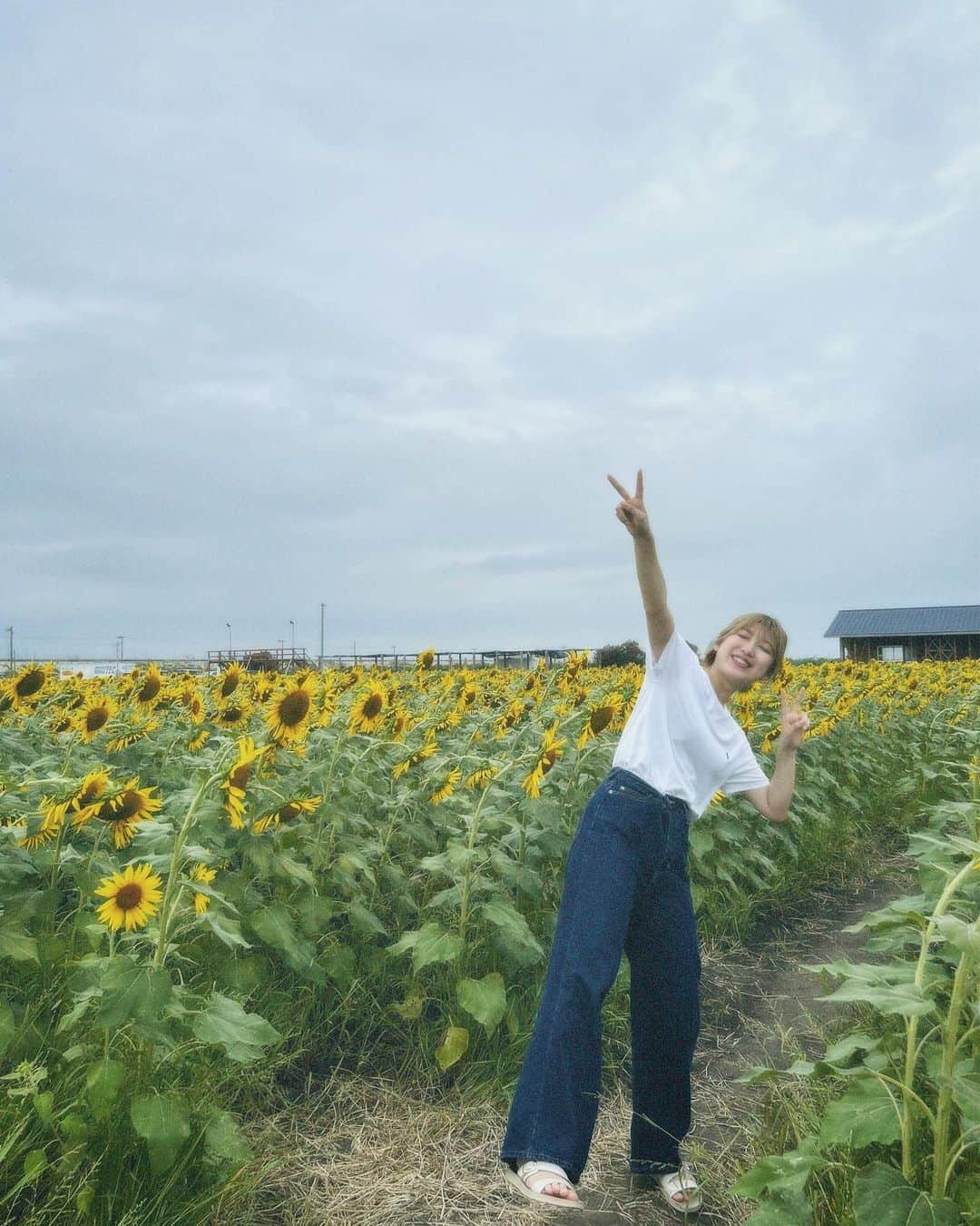 吉田華恋のインスタグラム：「#柳川ひまわり園」