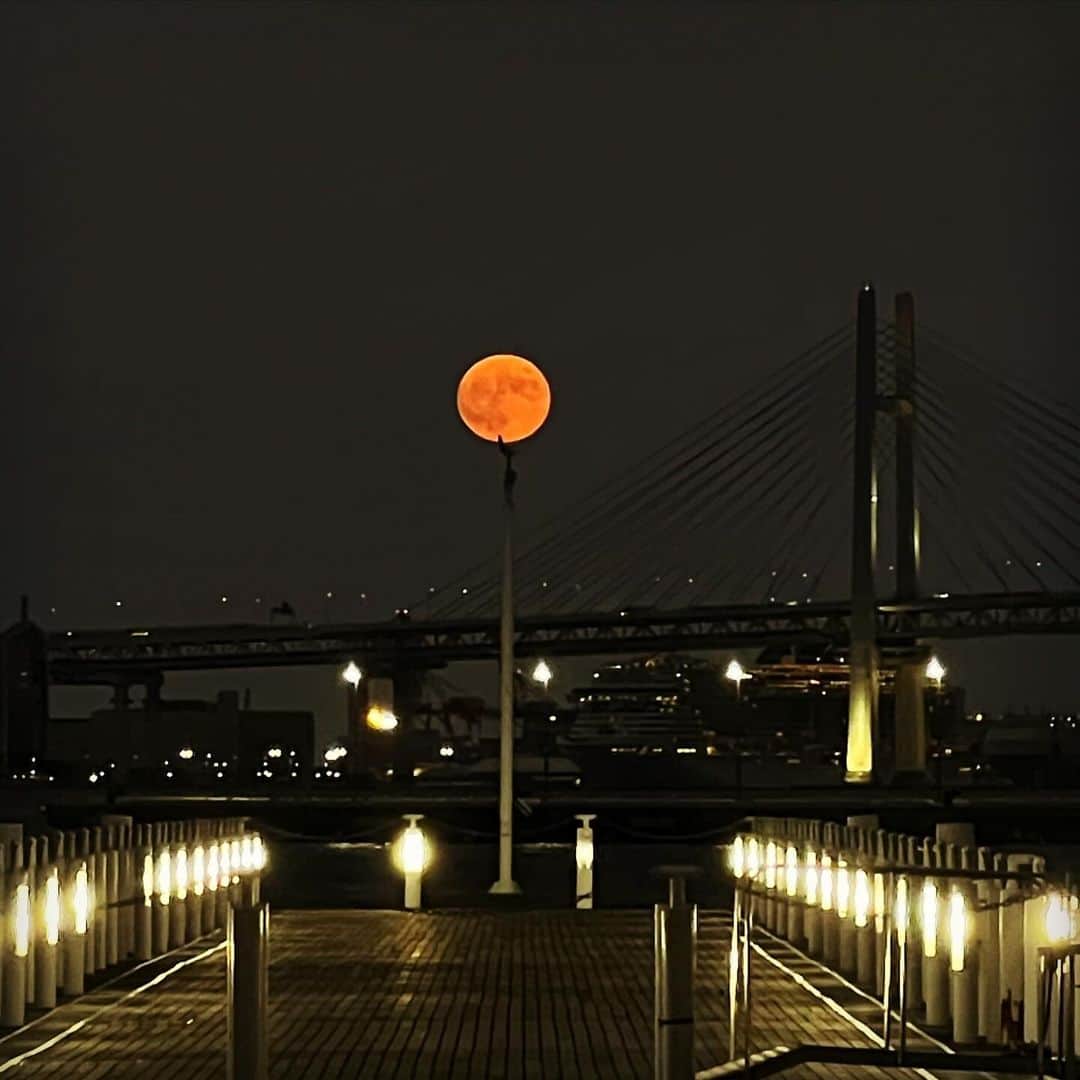 奥井亜紀のインスタグラム：「🌕満月ショー開催🌕 #お散歩は三歩でも良し  🤭月の出待ちした🥰」