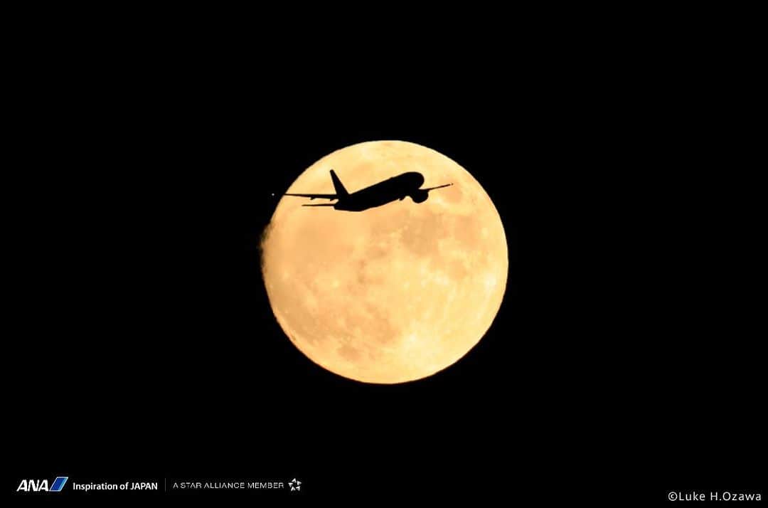 ANAのインスタグラム：「今夜は #中秋の名月🎑 一年でもっとも美しい月が見られる日🌕 皆さんも夜空を見上げて素敵な夜をお過ごしください✨ （写真は以前に撮影したものです） #お月見 #中秋の名月 #満月 #allnipponairways #ana」