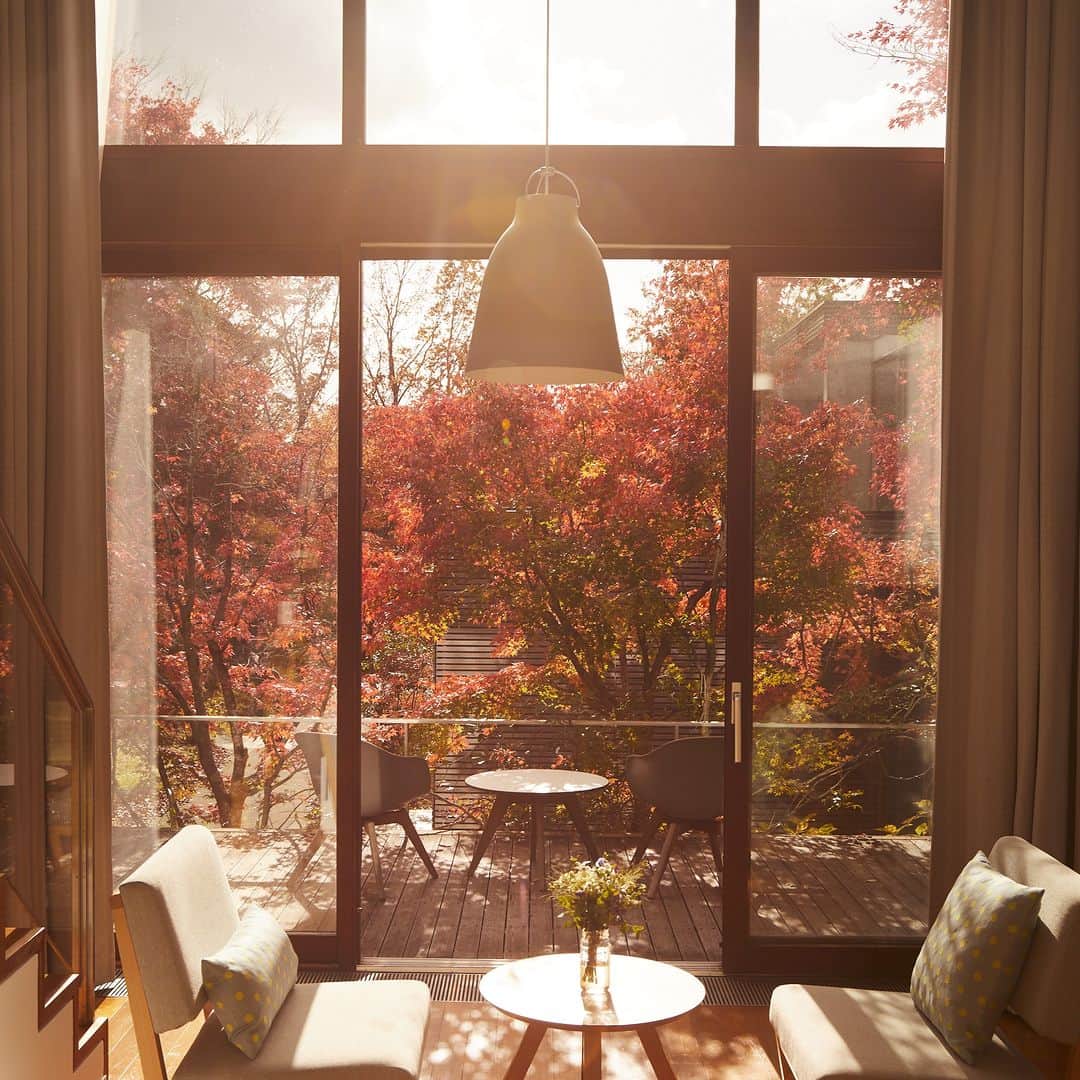 星野リゾートのインスタグラム：「【紅葉に染まる高原のリゾート🍁】 📍リゾナーレ那須 - RISONARE Nasu  東京から90分。那須高原の豊かな木々は、秋になると華やかな朱色に染まります。客室の大きな窓から眺めたり、散策したりと、ホテルの敷地内で紅葉狩りを楽しめます。  旬の野菜を楽しめるレストランやゆったり寛げる温泉も完備。土に触れる体験「ファーマーズレッスン」や「森のクラフト」、「森のトレジャーハント」など、秋の自然を遊び尽くせるアクティビティなど想い出に残る滞在を満喫できます。  #HoshinoResorts #星野リゾート #Risonare #リゾナーレ #RisonareNasu #リゾナーレ那須 #那須旅行 #那須ホテル #子連れ旅行 #家族旅行 #リゾートホテル #育旅 #紅葉」