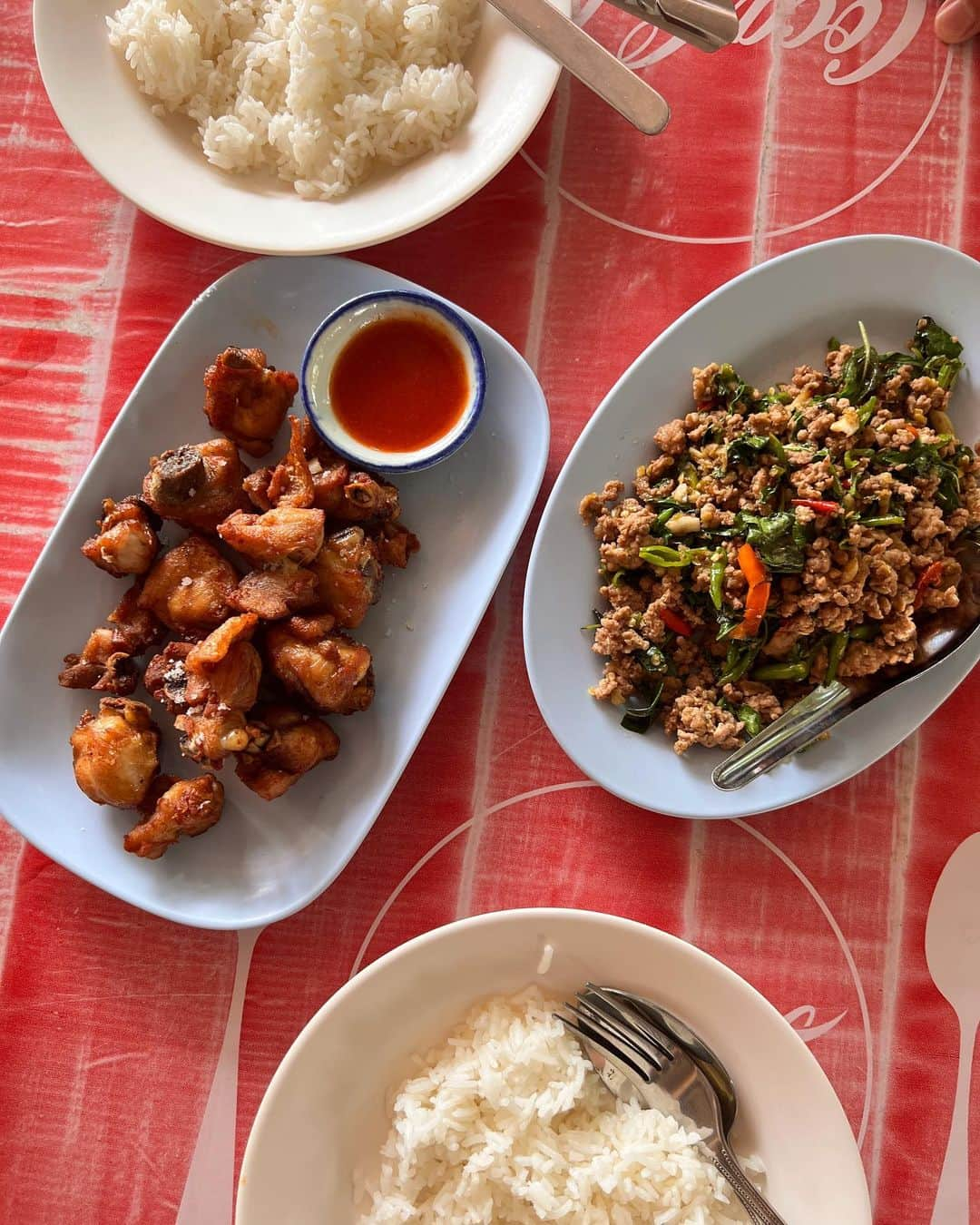 リサ のインスタグラム：「美味し辛すぎたThai food!!🇹🇭  パタヤからバンコク行く途中に行った 超ローカルなジビエ料理を楽しめるお店。 辛さが私の限界突破してて チキンしか食べられなかたヨ!!!!!  #thai #thaifood」