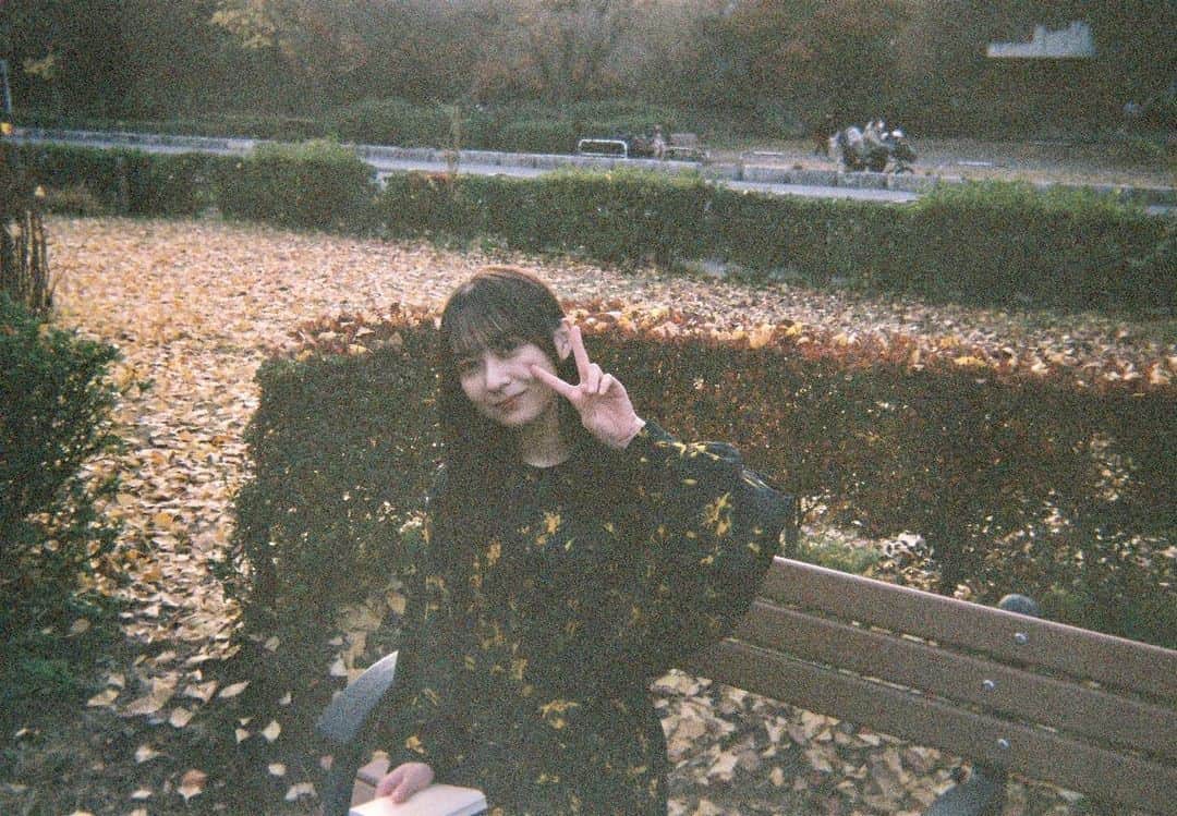 鈴木絢音のインスタグラム：「最近、秋の匂いがしますね。 『言葉の海をさまよう』の表紙を撮影をした時の お写真です。 銀杏並木が綺麗でした。また行きたいな。」