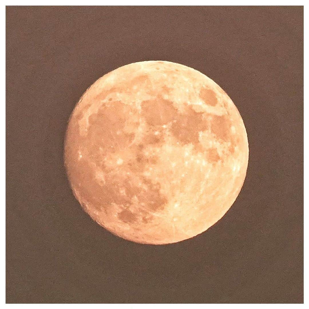 さだまさしさんのインスタグラム写真 - (さだまさしInstagram)「中秋の名月 十五夜🌕 ハーベストムーン . #中秋の名月  #十五夜 #ハーベストムーン #さだまさし #sadamasashi」9月29日 19時22分 - sada_masashi