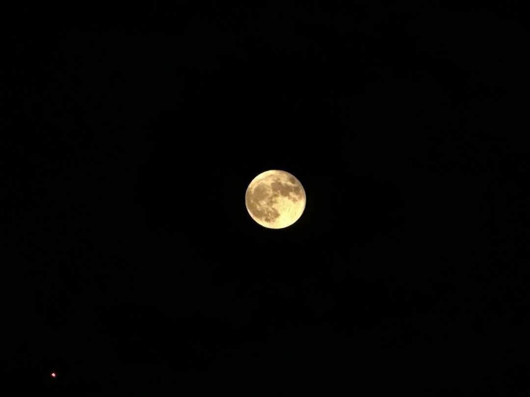 ホテルオークラ東京 Hotel Okura Tokyoさんのインスタグラム写真 - (ホテルオークラ東京 Hotel Okura TokyoInstagram)「Japanese tradition in Autumn seeing full moon🌕 満月を眺めて過ごす日本の秋の風物詩🌾  #十五夜 #中秋の名月 #満月 #山里 #ホテルステイ好きな人と繋がりたい #ホテル好きな人と繋がりたい #記念日ホテル  #東京ホテル #ラグジュアリーホテル #theokuratokyo #オークラ東京  #fullmoon #hotelroom  #tokyohotel #luxuryhotel #tokyotravel #hotellife #luxurylife #tokyotrip  #lhw #uncommontravel #lhwtraveler  #东京 #酒店 #도쿄 #호텔 #일본 #ญี่ปุ่น #โตเกียว #โรงแรม」9月29日 19時20分 - theokuratokyo