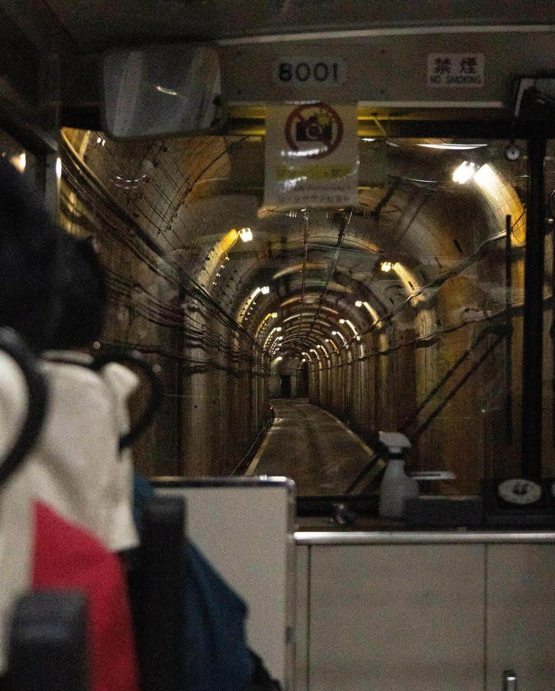 詩歩さんのインスタグラム写真 - (詩歩Instagram)「🍁  - 電車とバスで行く！日本の絶景ひとり旅 −　 月イチ連載、更新しました！  8回目となる今月の旅先は…富山県！ なんと登山せずに乗り物だけで、標高2,450mの紅葉が楽しめちゃう大好きなスポット。  アップした写真の景色、ぜんぶ車なしで行けちゃうってすごくない？！😳  2023年も早いもので、すでに紅葉が始まっています。  富山駅から日帰りでも楽しめますが、今回はわたしが2021年に楽しんできた、宿泊してホテルの目の前で星空鑑賞もしてきたコースをご紹介します。  「10月中ずっと見頃！ 天空の紅葉と星空を巡る旅」 🍁🌌⛰️ https://note.com/shiho_zekkei  この記事はnoteで自主的に連載しているもので、WEBから無料で読めます。「note　詩歩　ひとり旅」で検索してね🔍  Monthly blog series, updated! This is the eighth entry in the series of solo trips to Japan's spectacular landscapes by train and bus. This month is #Toyama Prefecture! The #TateyamaKurobeAlpineRoute , 2,450 meters above sea level, can be reached by vehicle without climbing a mountain. It is a very refreshing place to spend time alone. Please check our website for the actual schedule and tips for a #solotrip .  🇯🇵 #shiho_toyama 📷 Oct 2021 📍富山県 / Toyama Japan  ©︎Shiho/詩歩」9月29日 19時23分 - shiho_zekkei