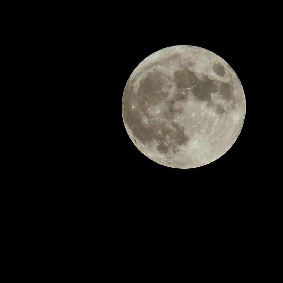 坂崎幸之助さんのインスタグラム写真 - (坂崎幸之助Instagram)「今夜は中秋の名月🌕 しかも満月は今回を逃すと7年後だそうな🥹 そりゃイカン😅🤪  撮り逃すところだった😝 晴れてくれて、撮らせてくれてありがとう😍  #中秋の名月 #満月 #秋 #月 #ハーベストムーン #十五夜 #牡羊座 #それでも月に何かがいる #月の裏側 #OLYMPUSOM1 #300mm #テレコンバーター #いよいよ明後日は秋ツアー初日❣️ #これからケイトラ #行って来まぁす😻」9月29日 19時24分 - kohnosukesakazaki