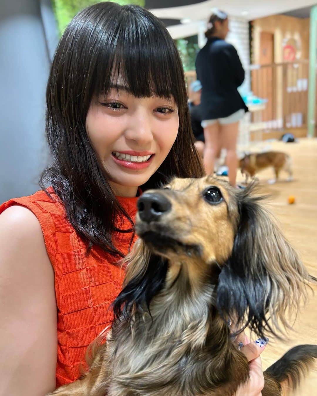 滝口ひかりさんのインスタグラム写真 - (滝口ひかりInstagram)「友と犬カフェへ。  ご飯が欲しくて騒いでいる様子に ちょっとびっくりしましたが 内心すごく好きです。  また行きたい！  #滝口ひかり #ゑんら #wyenra #idol #アイドル #犬カフェ #ダックスフンド」9月29日 19時25分 - takiguchi_hikari