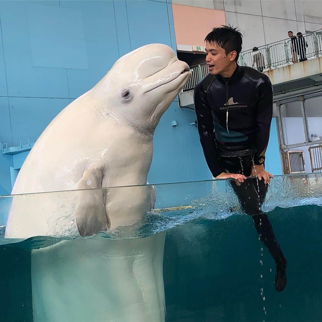 のインスタグラム：「子供の頃から「横浜八景島シーパラダイス🐬」で働くことが夢だった🌈 卒業生取材📷後日HPにて公開‼️ #tcaeco #tca東京eco動物海洋専門学校 #横浜八景島シーパラダイス #夢」