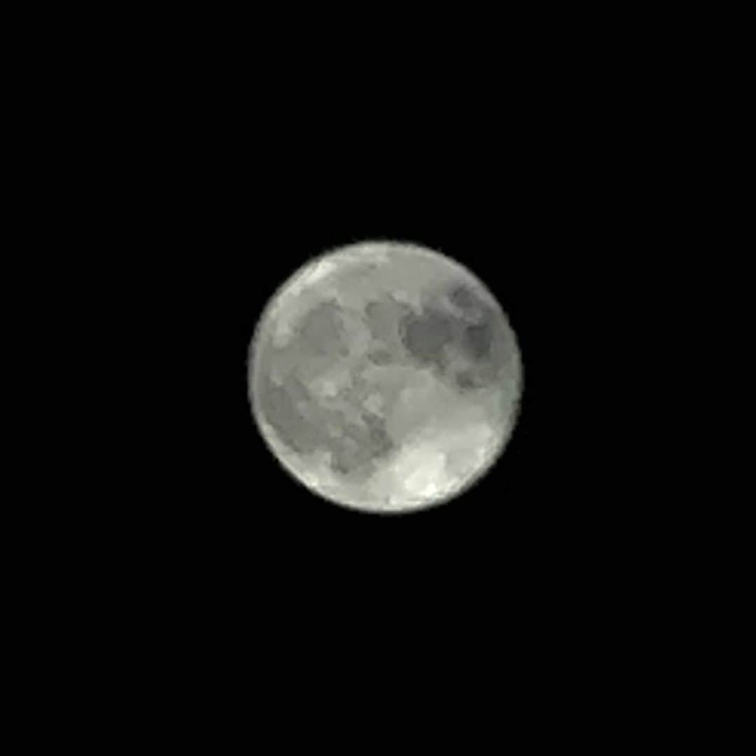 山田稔明さんのインスタグラム写真 - (山田稔明Instagram)「中秋の名月、満月、Harvest Moon。見えないかと思ってたけど、見えた。久しぶりに顔をあげました。 #harvestmoon」9月29日 19時29分 - toshiakiyamada