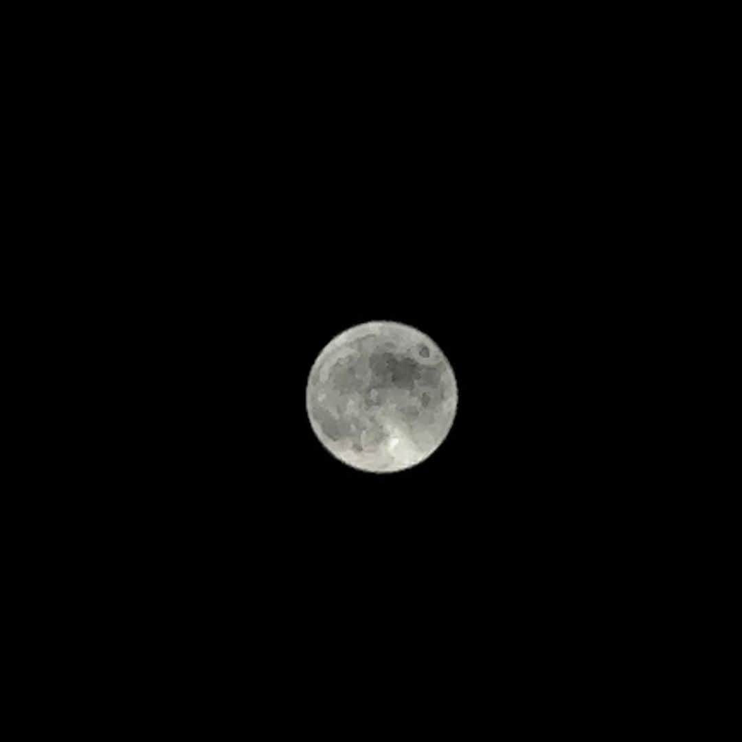 山田稔明さんのインスタグラム写真 - (山田稔明Instagram)「中秋の名月、満月、Harvest Moon。見えないかと思ってたけど、見えた。久しぶりに顔をあげました。 #harvestmoon」9月29日 19時29分 - toshiakiyamada